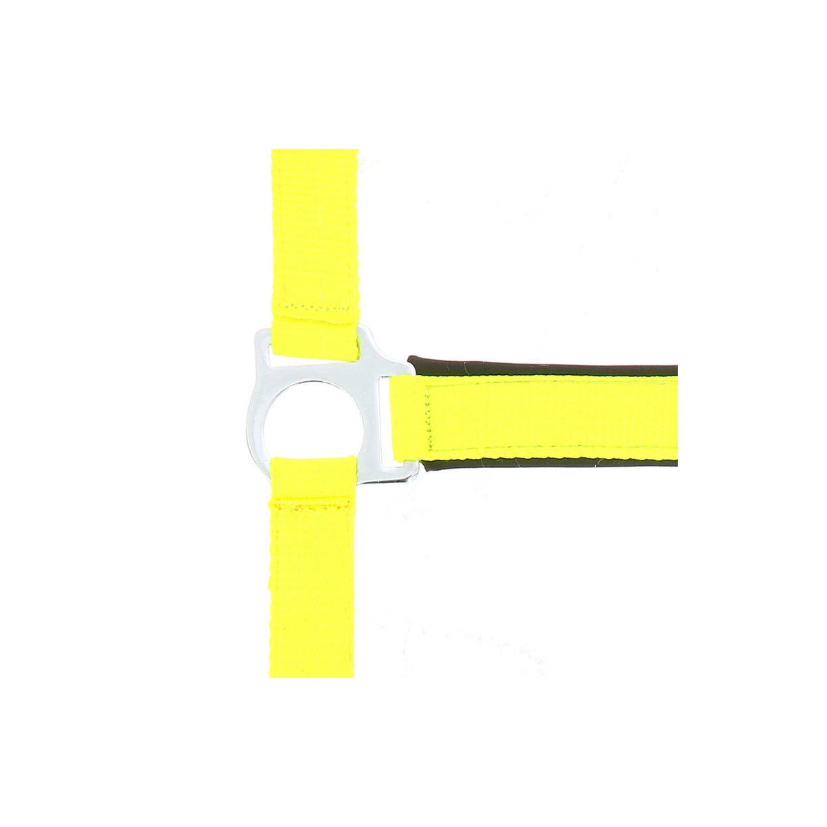 Norton Fluo Lined grimma