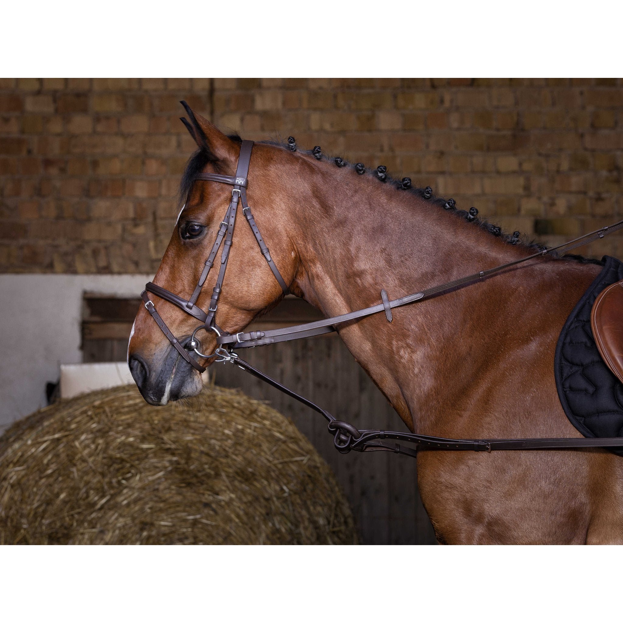 RIDING WORLD Inspänningstyglar med gummiringar
