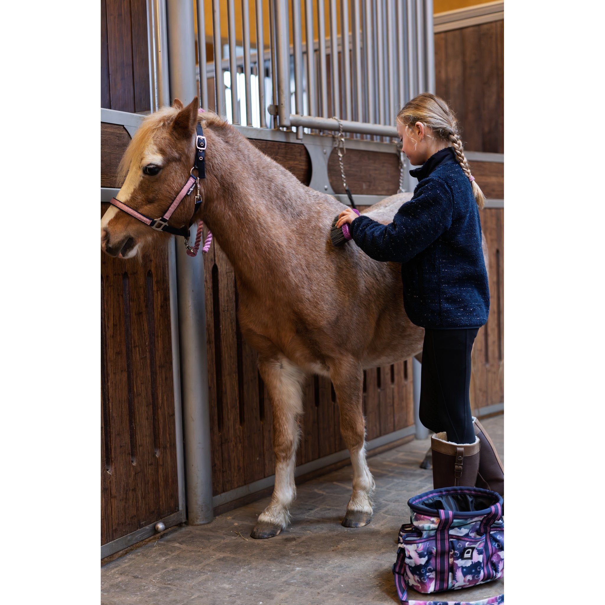 Horse Guard Idaho grimma