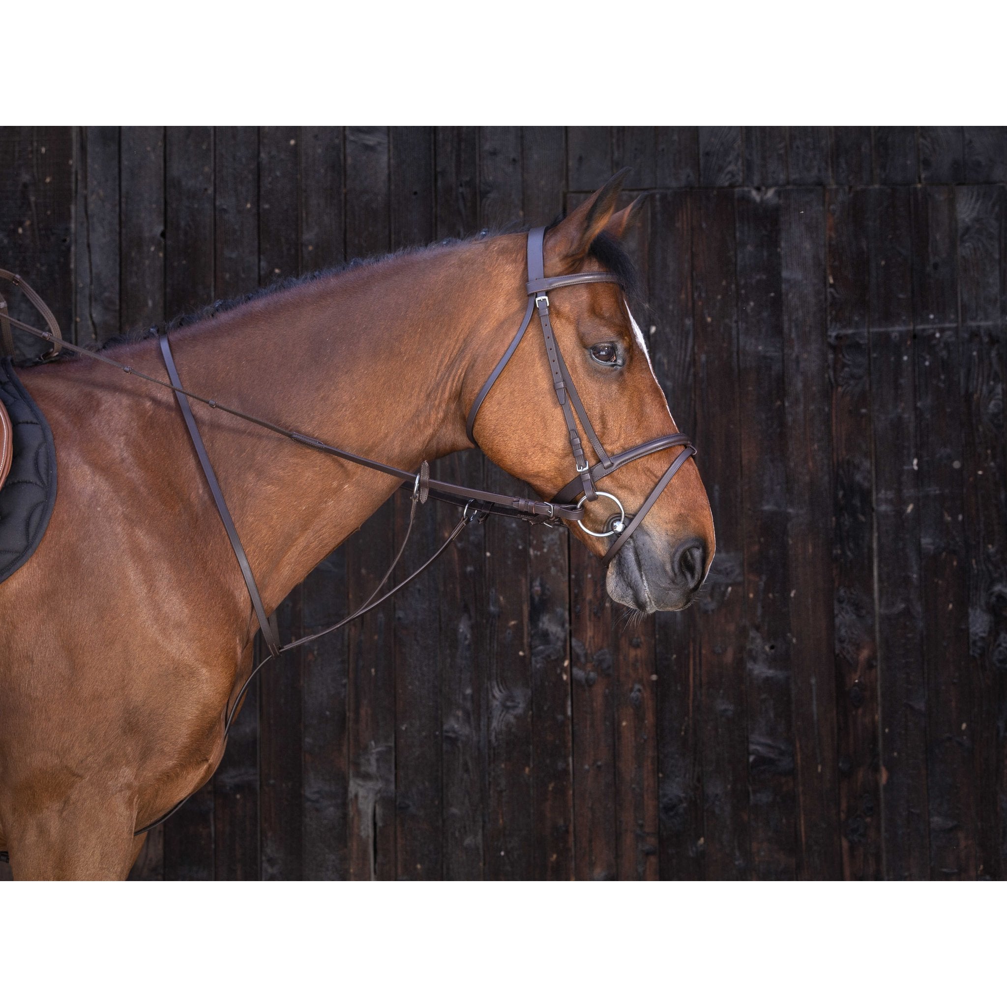 RIDING WORLD Martingal