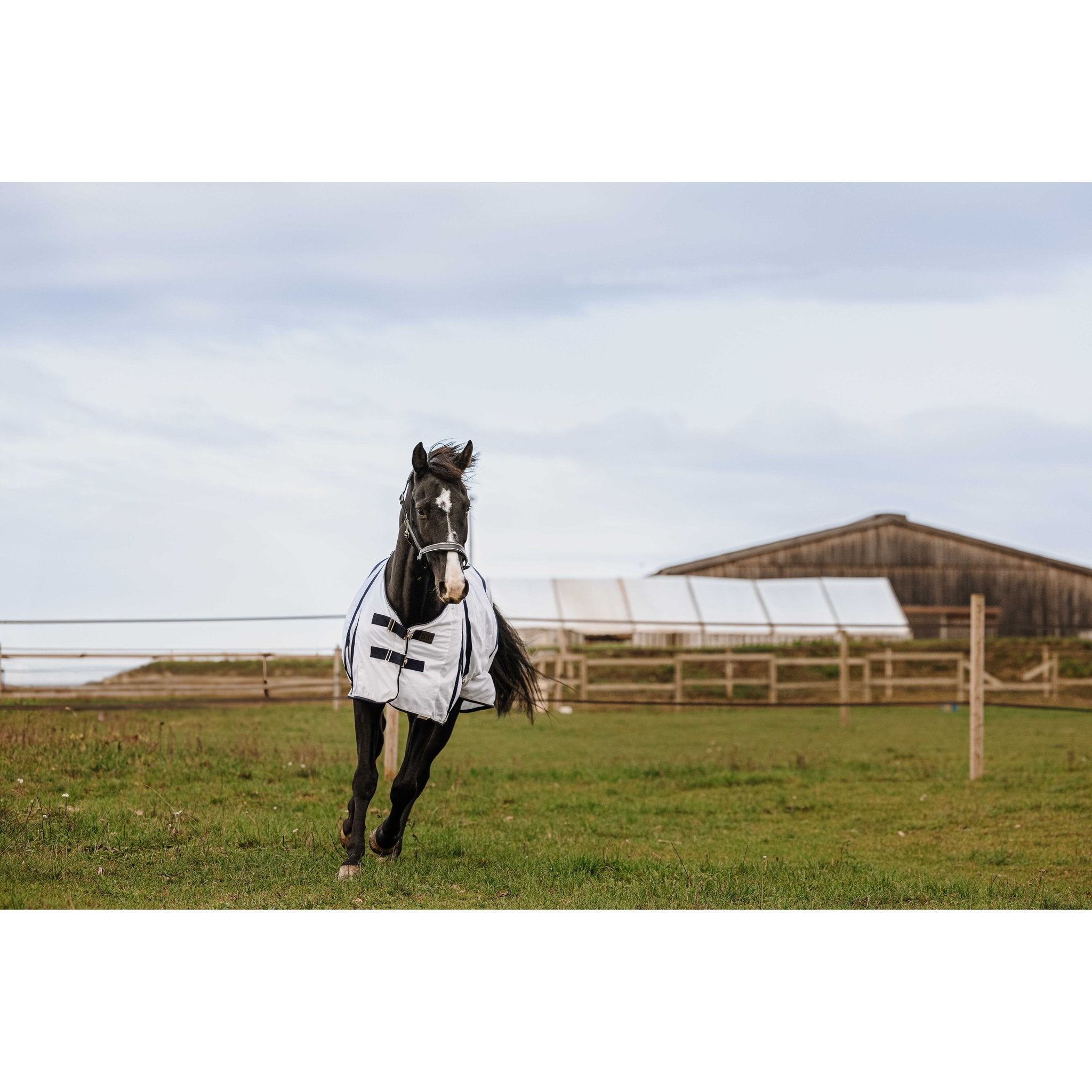 Equithème Mesh Anti Insektstäcke