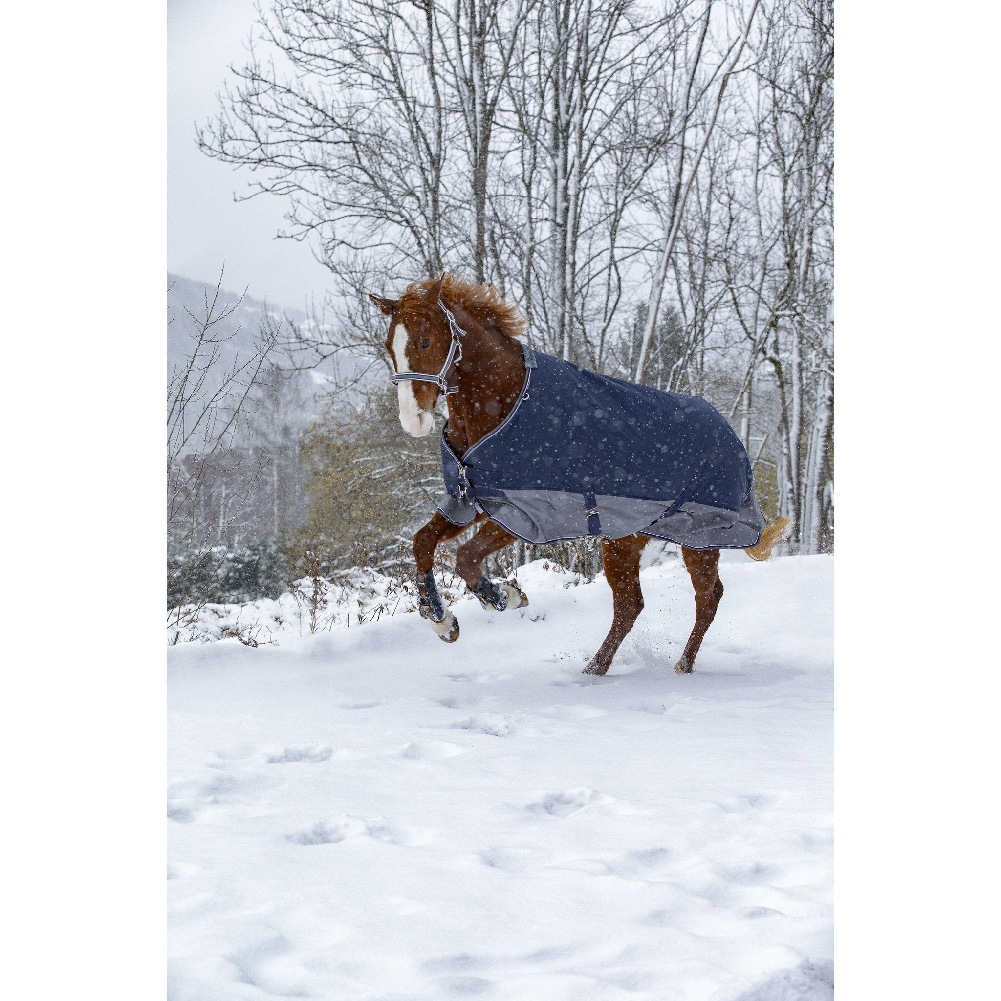 Equithème TYREX 600D Turnout täcke med fleecefoder
