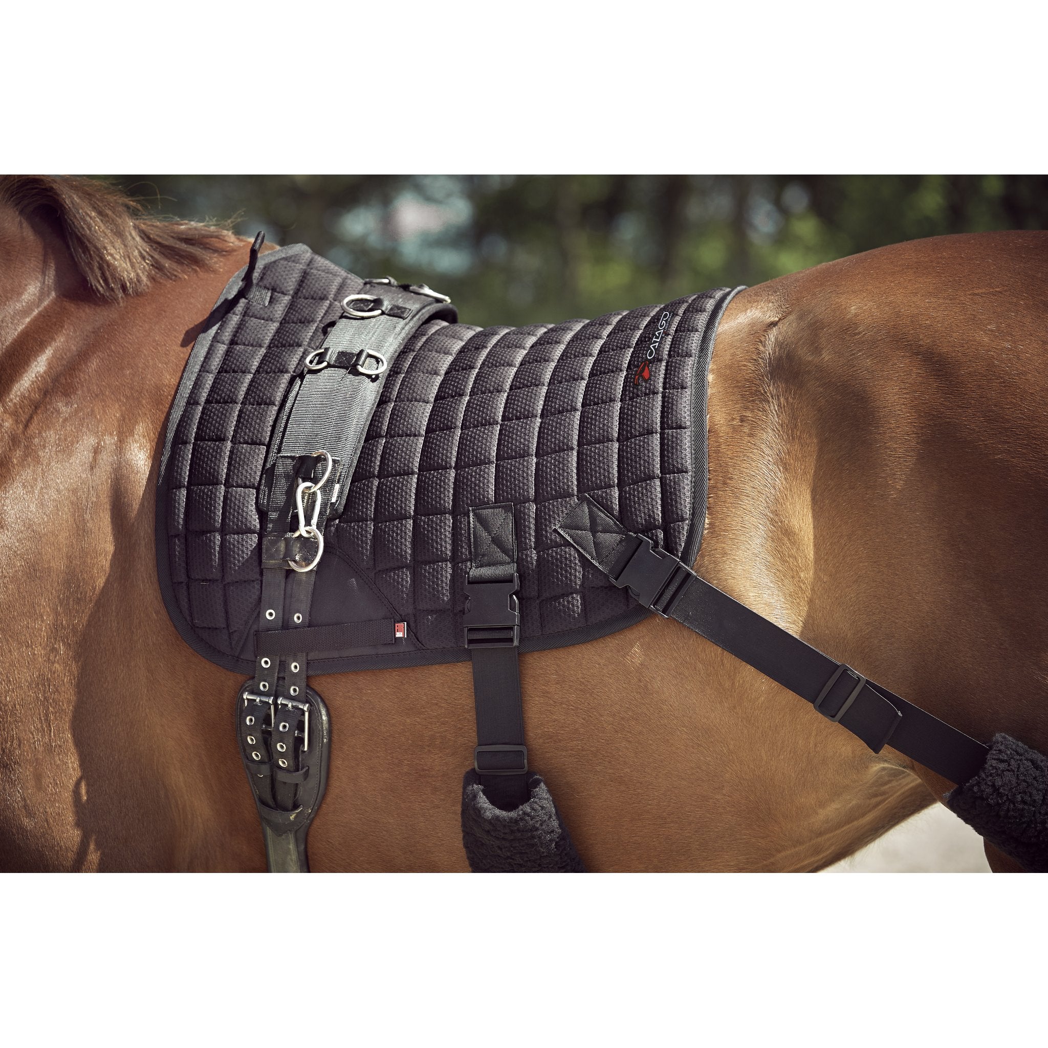 CATAGO FIR-Tech träningsschabrak med elastiska band Dressyr