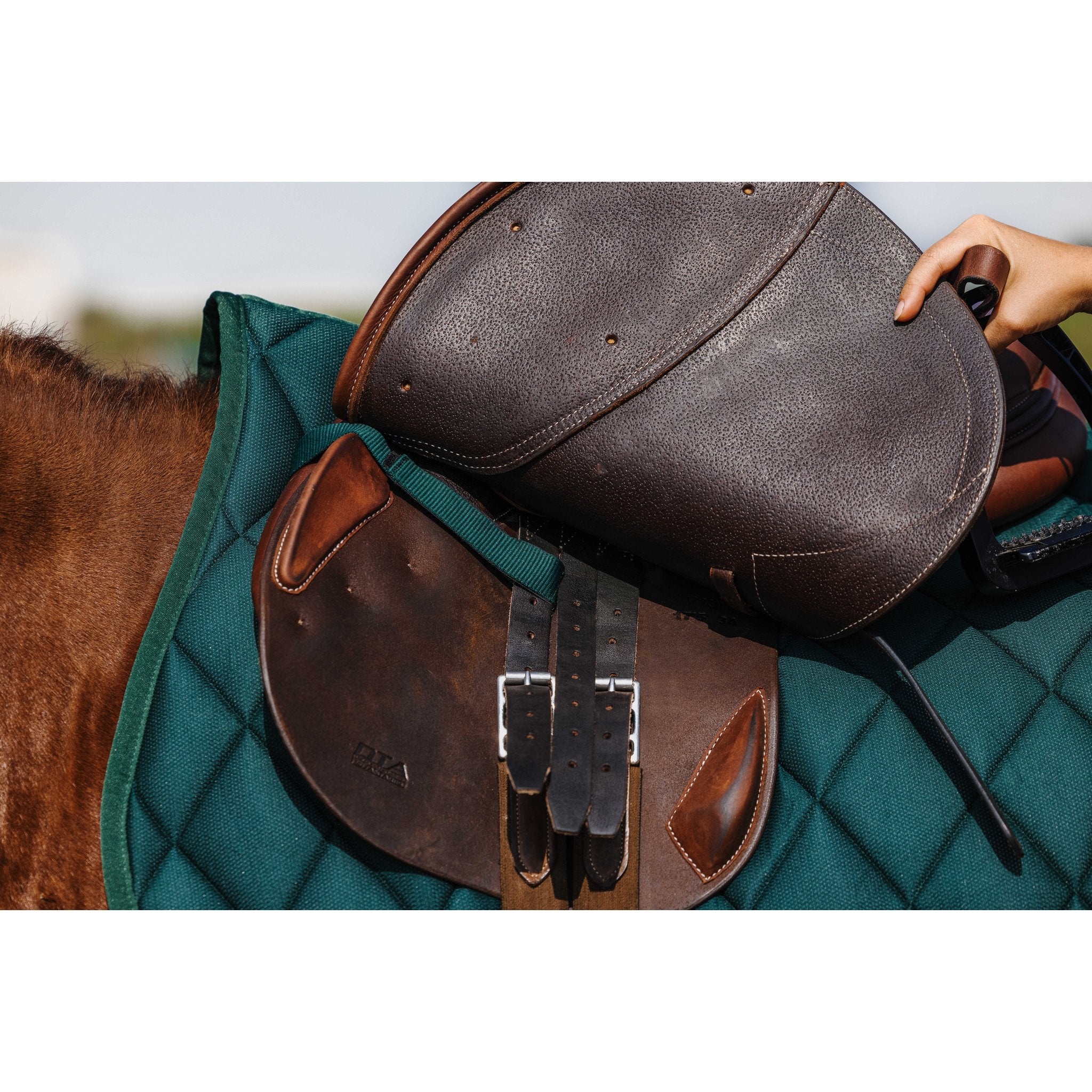 RIDING WORLD School Hoppschabrak
