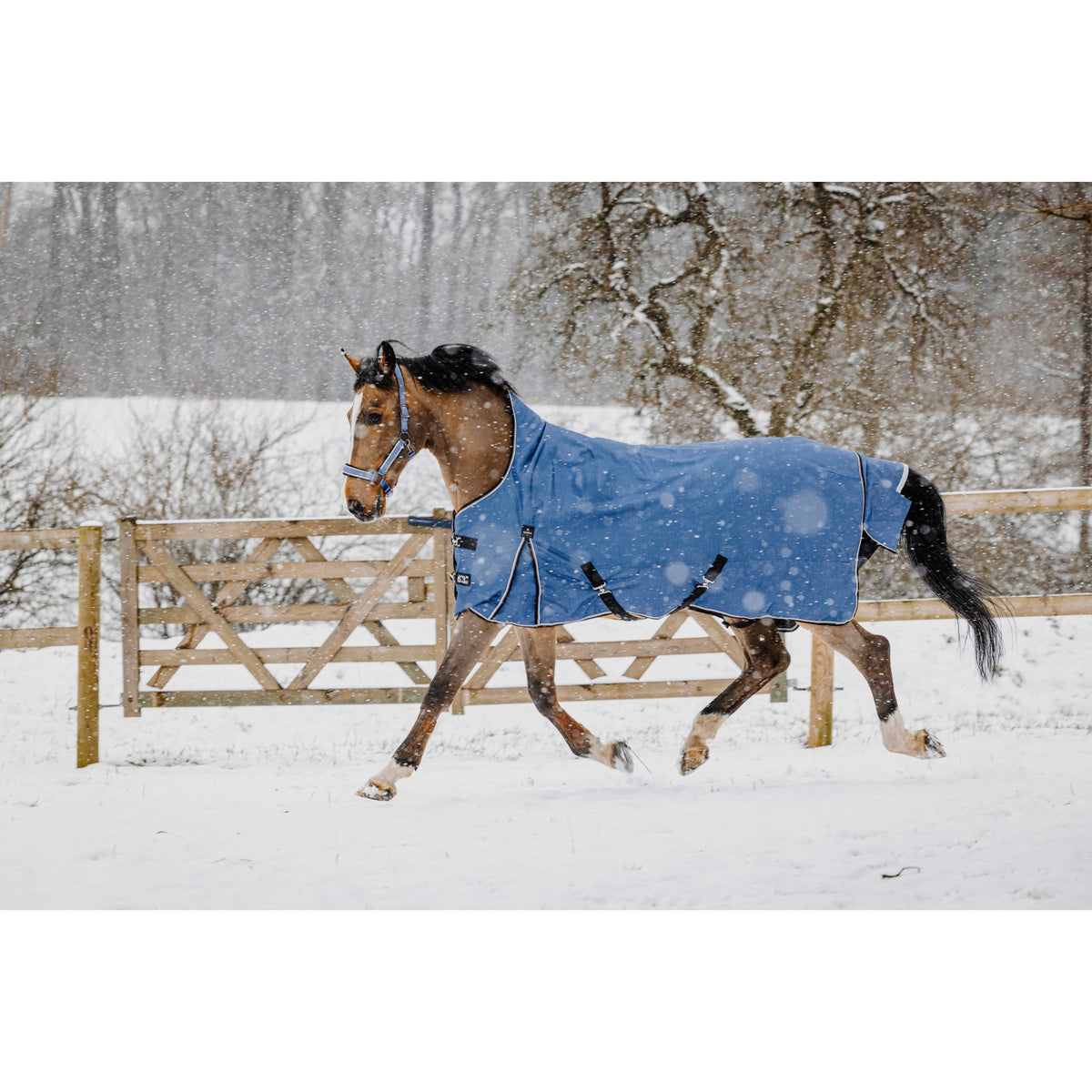 Equitheme Tyrex Aisance high neck, 150 g