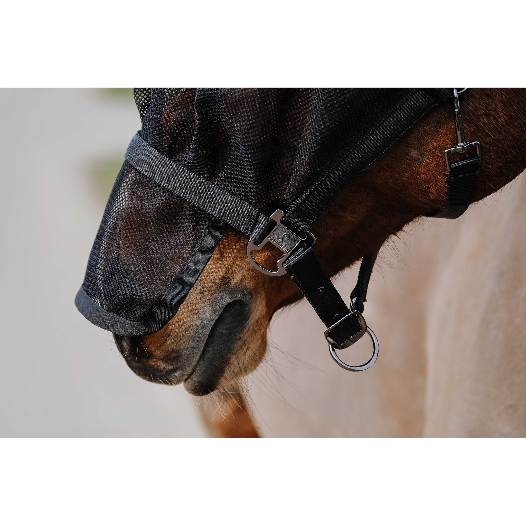 Equithème Grimma + mask