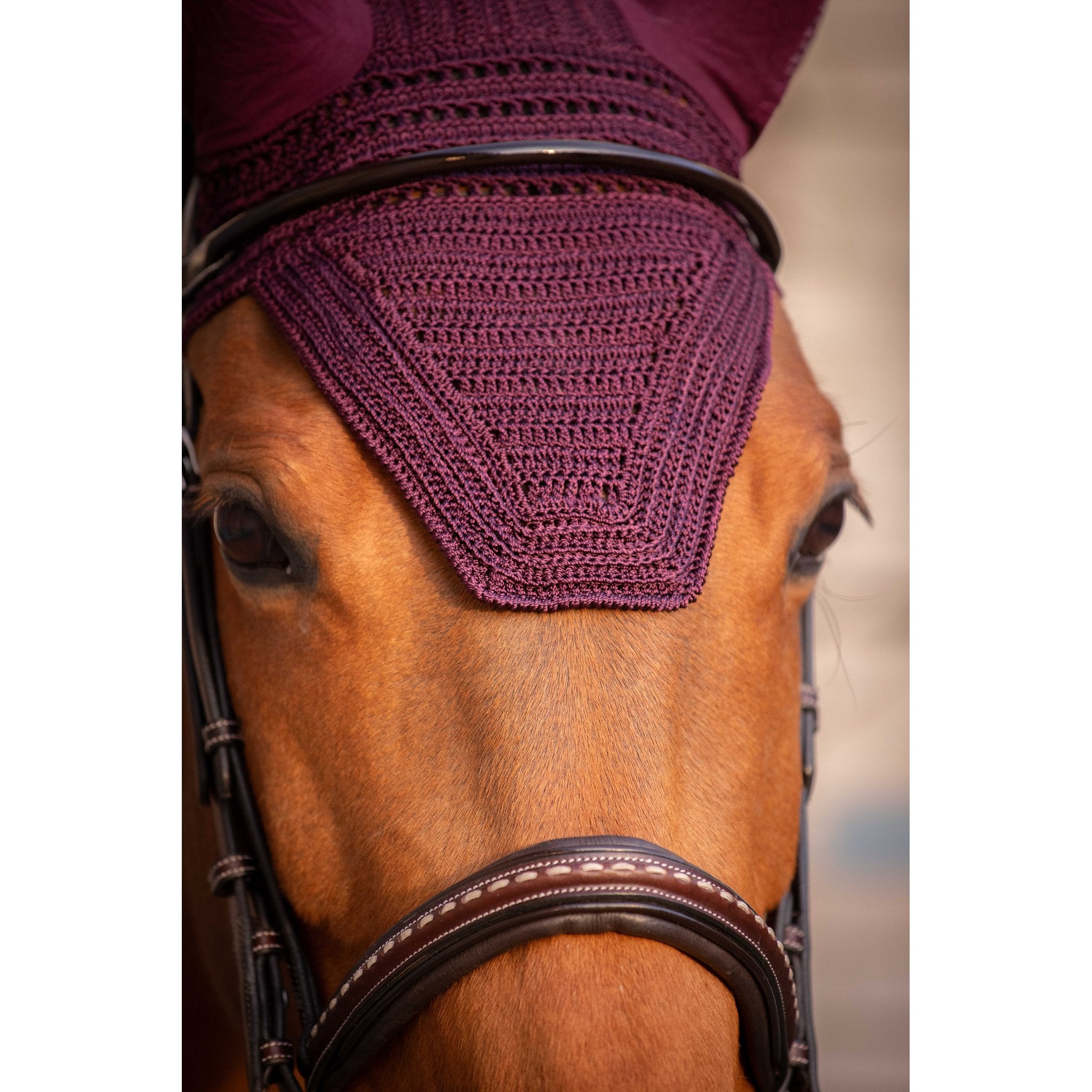 PADDOCK Prems luva