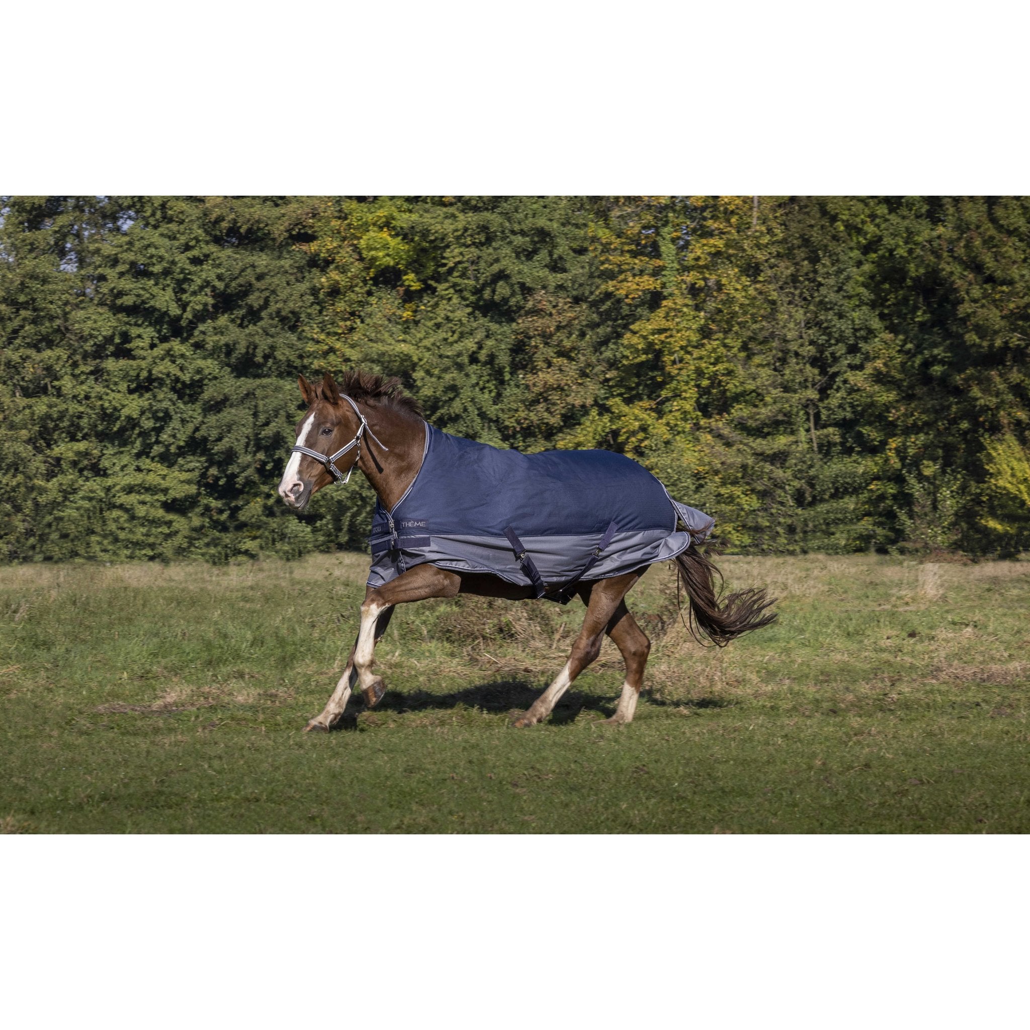 Equithème TYREX 600D Turnout täcke med fleecefoder