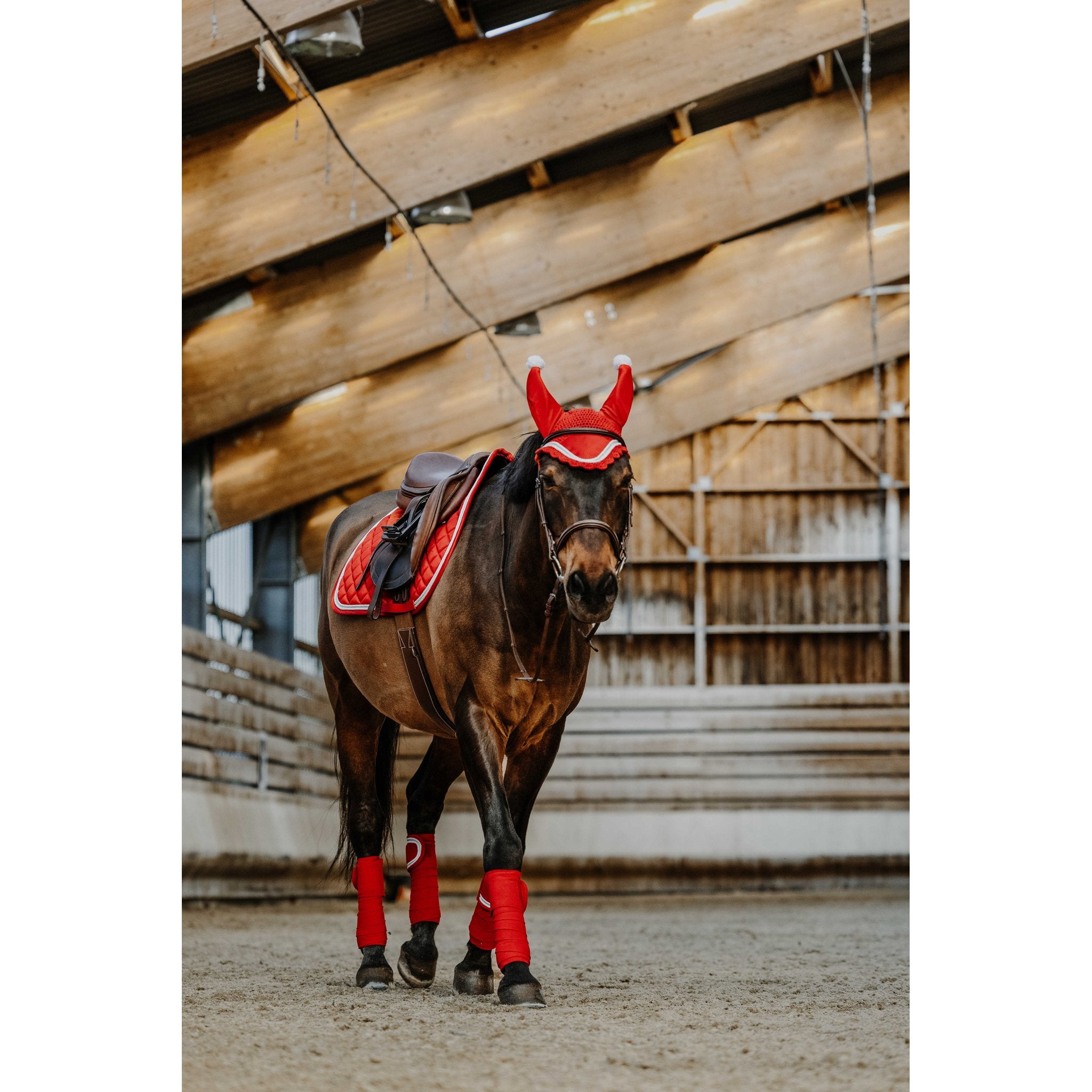 Equitheme X-mas lindor