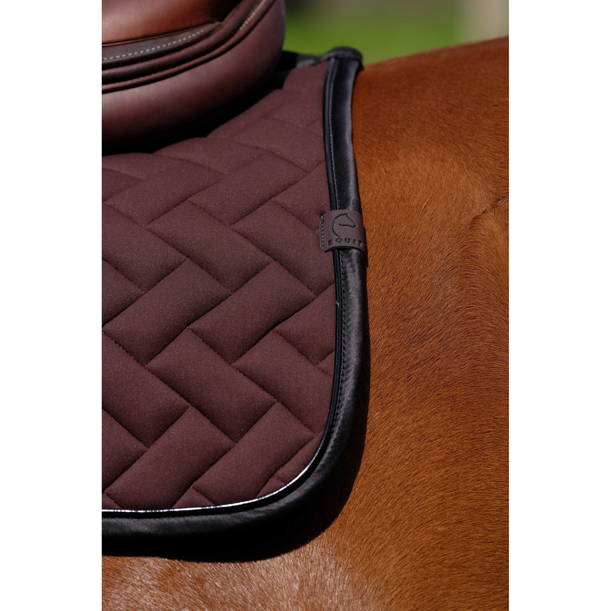 Equithème Impulsion Schabrak