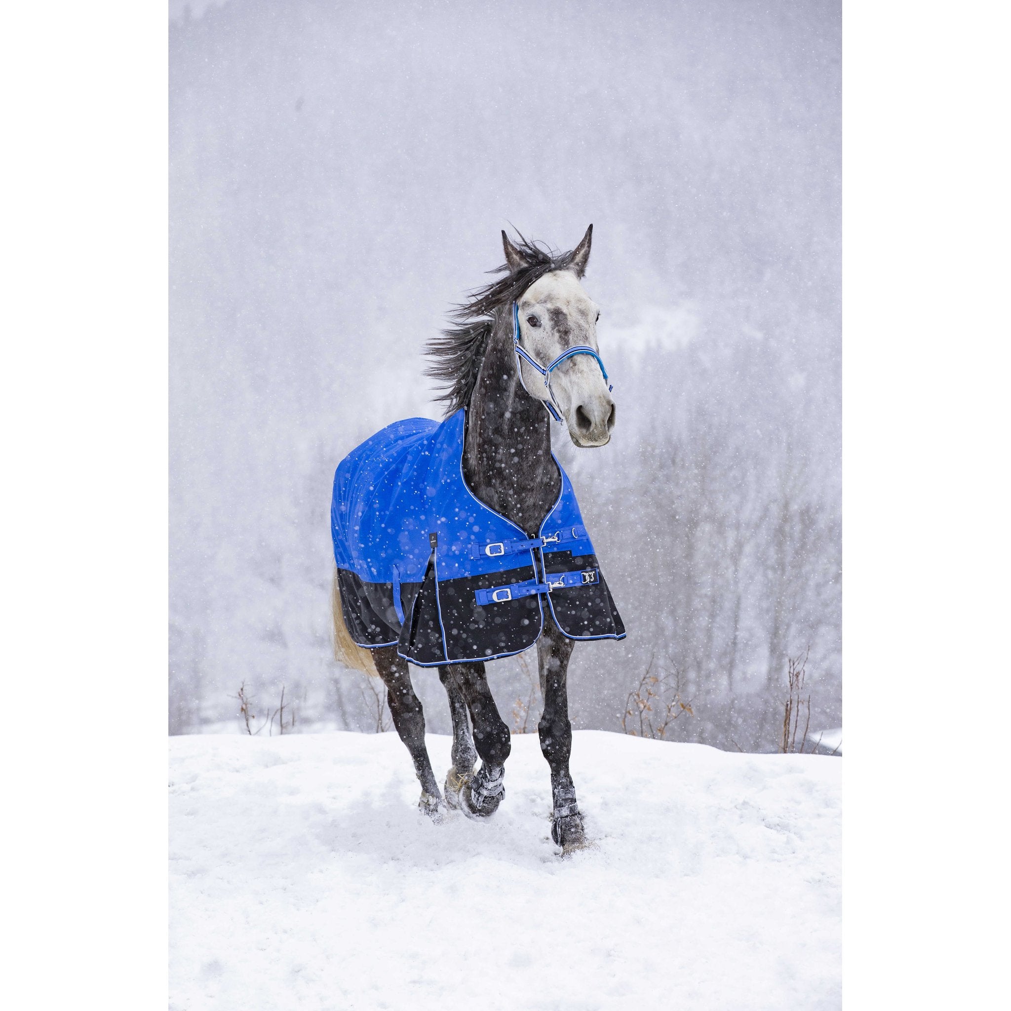 Equithème TYREX Aisance 1200D hög hals täcke 300 g
