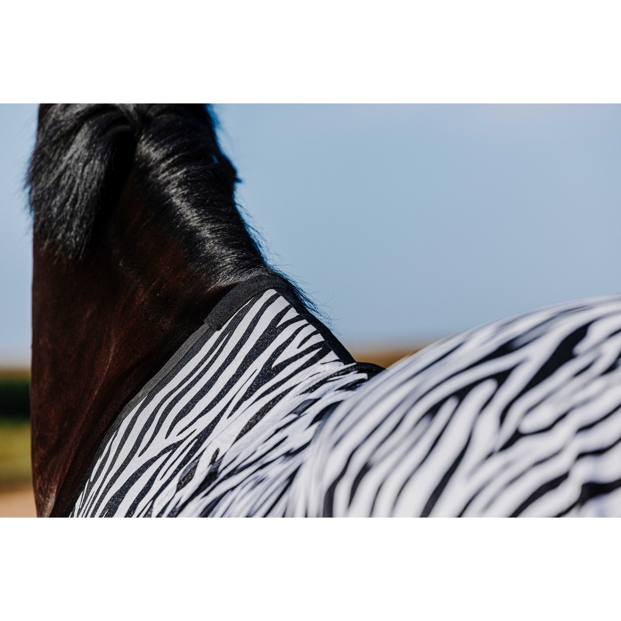 RIDING WORLD Belly Mesh Flugtäcke
