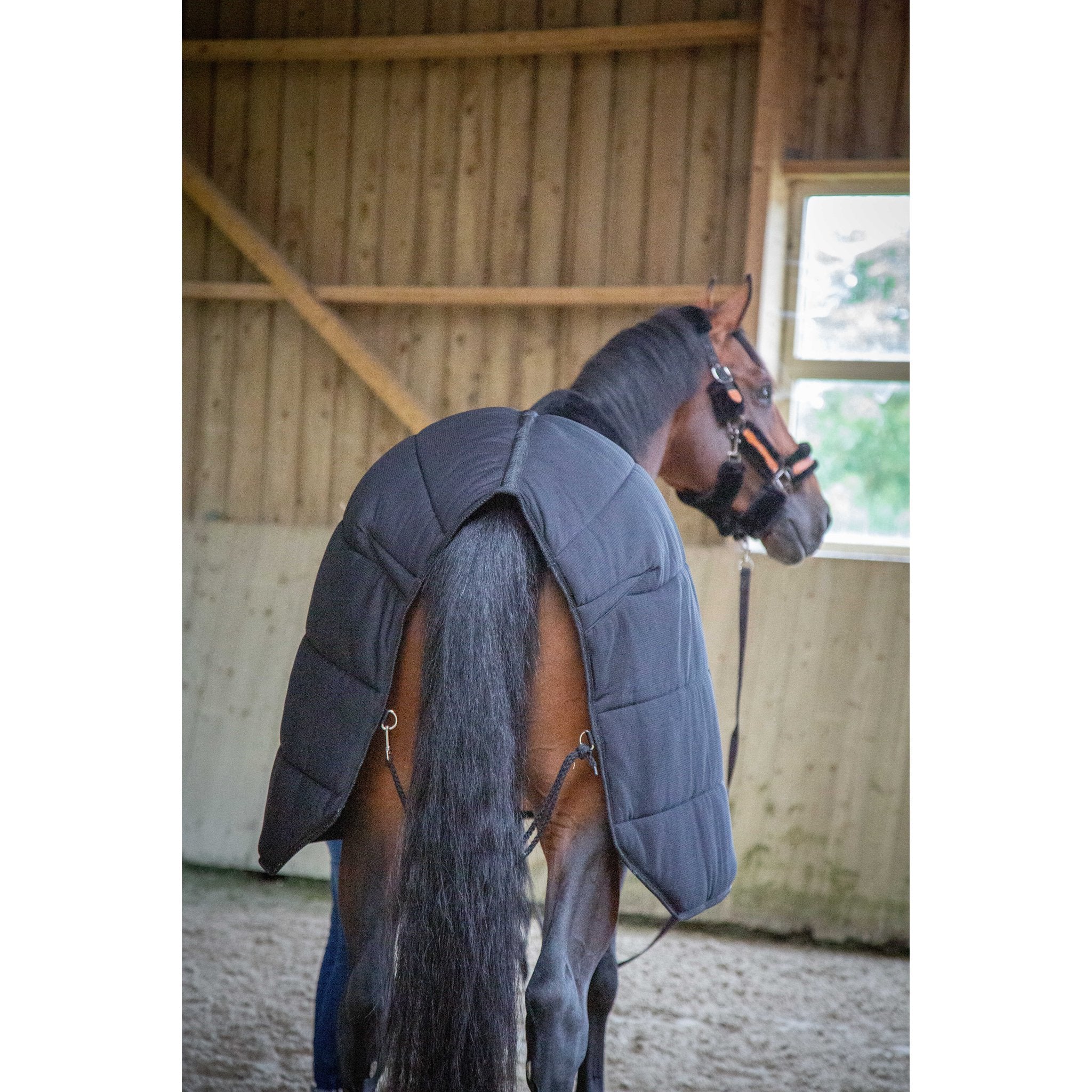 PADDOCK undertäcke 200 g