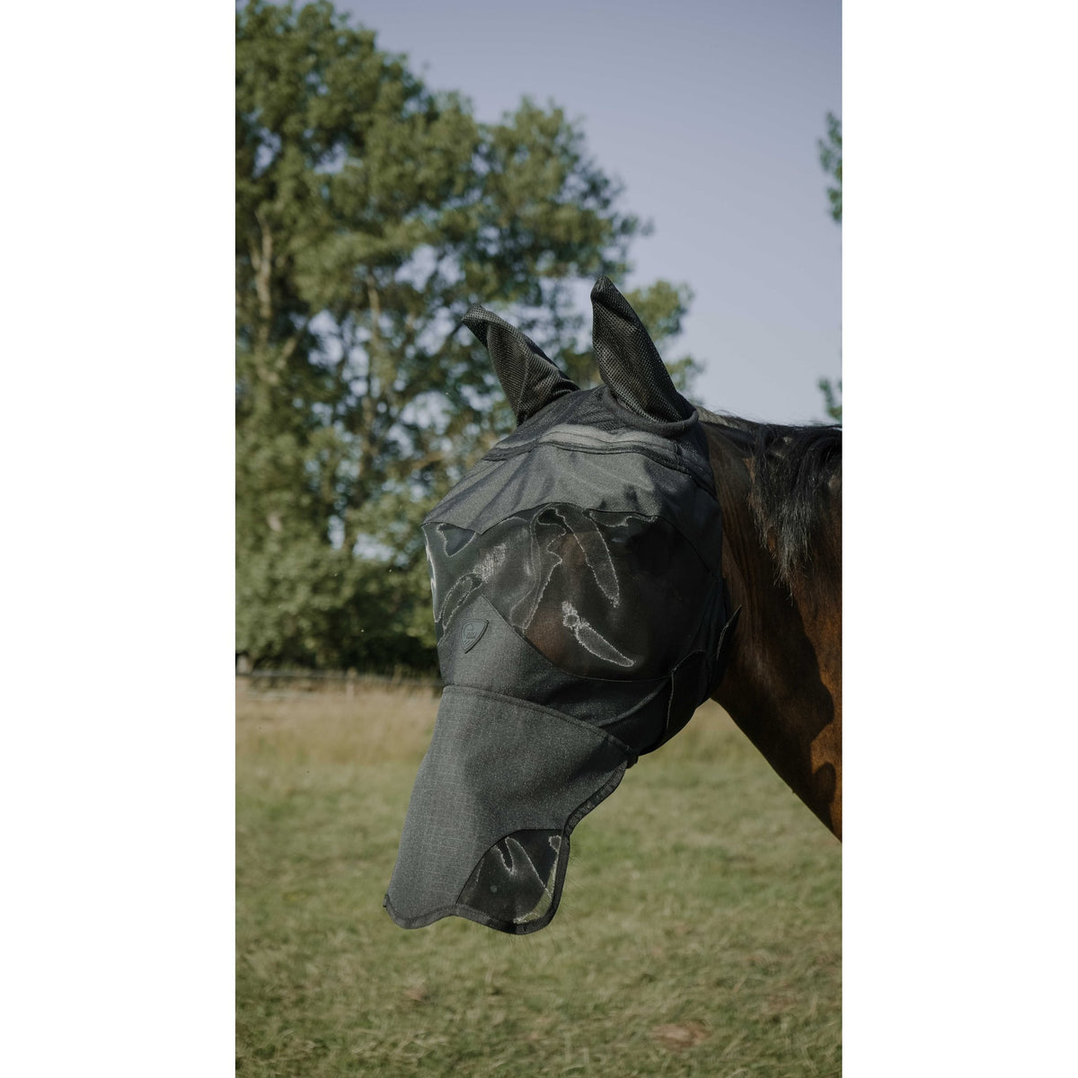 Pro Series Visor flugmask