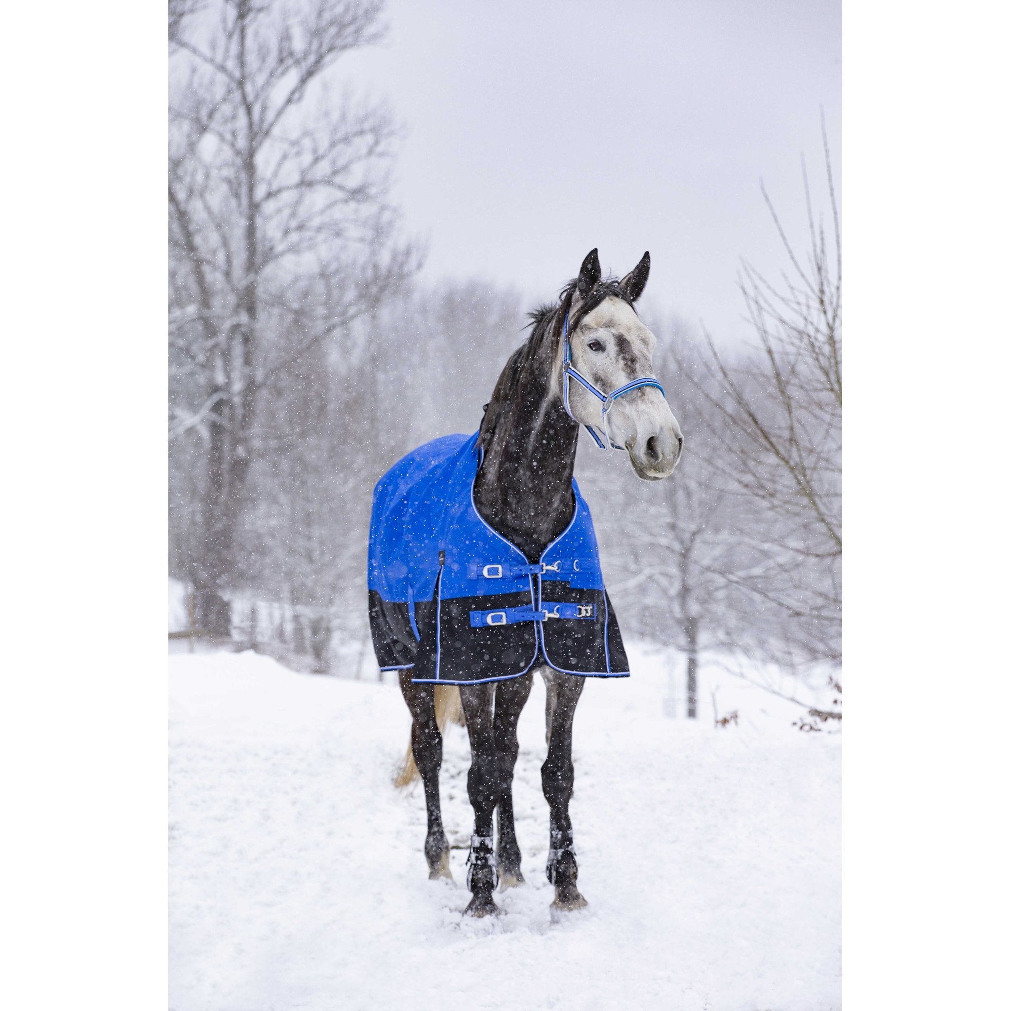 Equithème TYREX Aisance 1200D hög hals täcke 300 g