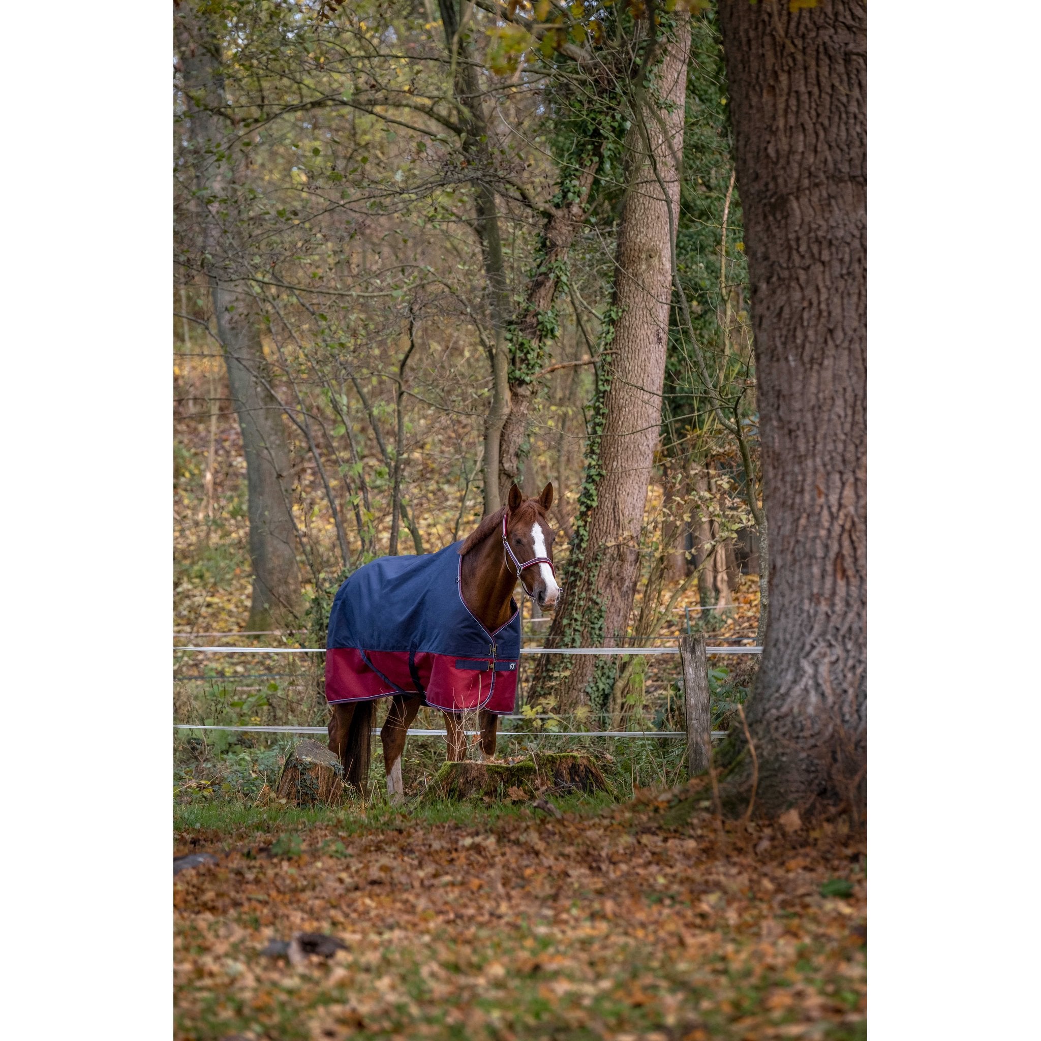 Equithème TYREX 1200D Turnout täcke 150 g