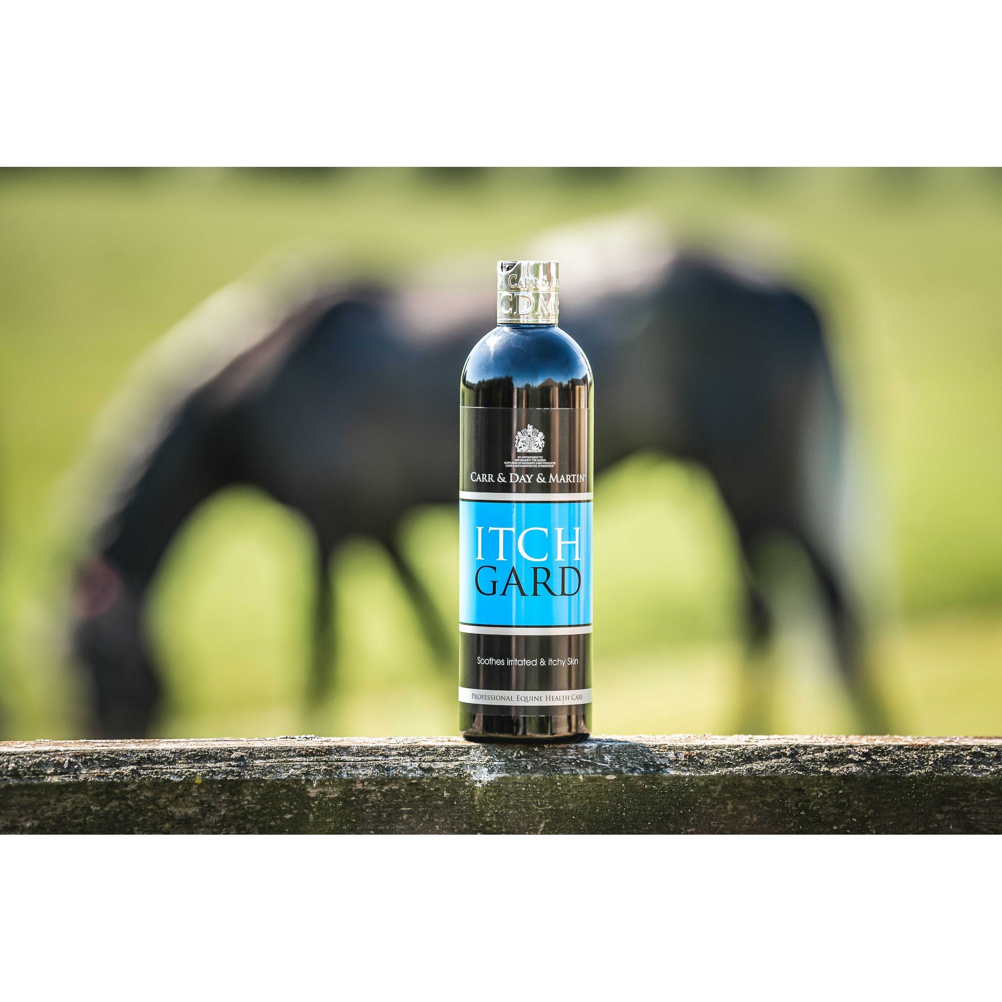 CARR & DAY & MARTIN Itchgard Lotion