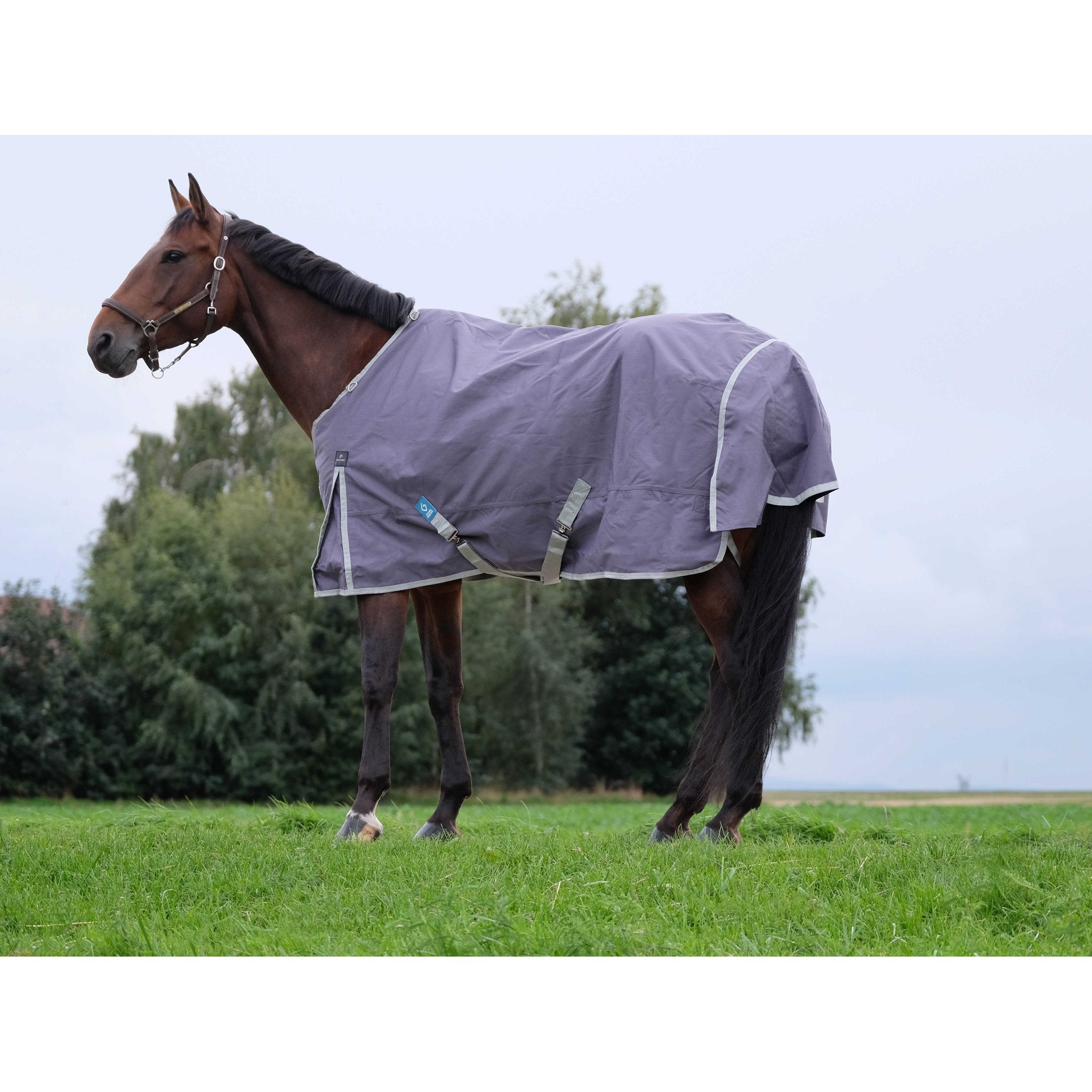 Equithème TYREX 1200D Återvunnet Turnout täcke 50 g