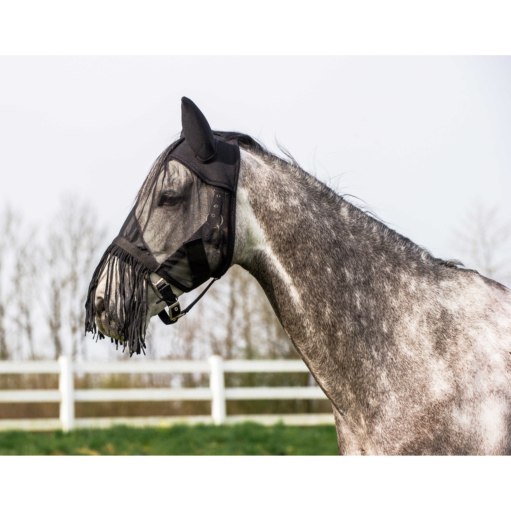 RIDING WORLD Flugluva med fransar