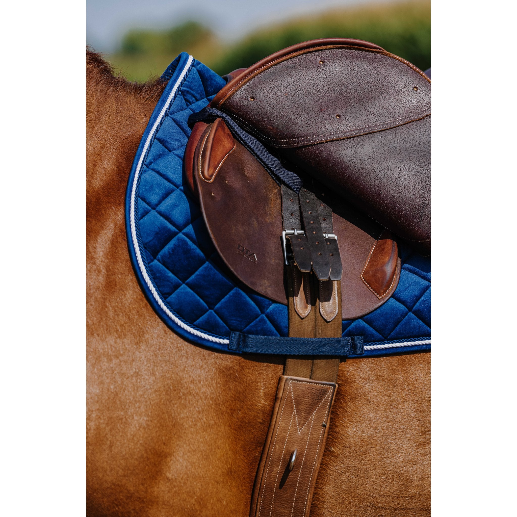 RIDING WORLD Velours Hoppschabrak