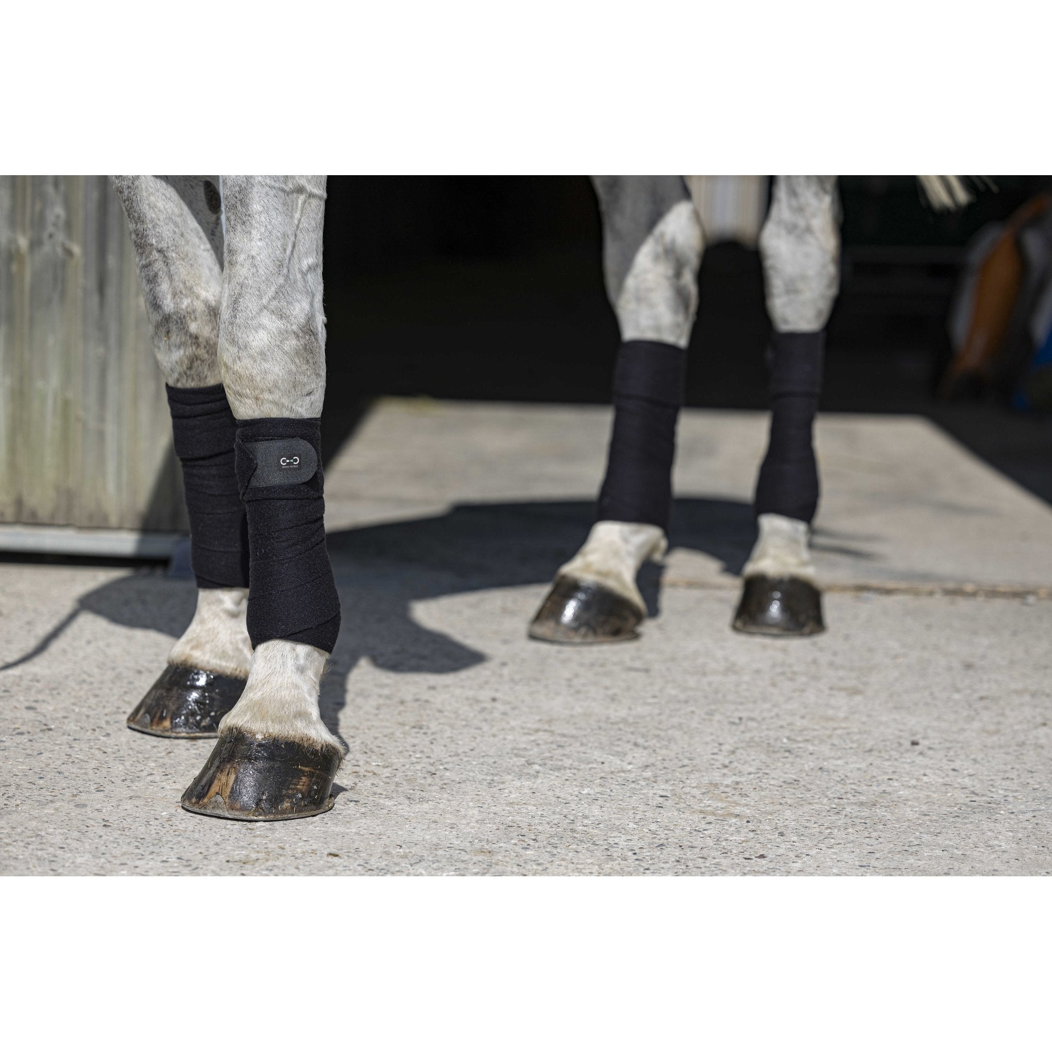 Riding World Eco Benlindor