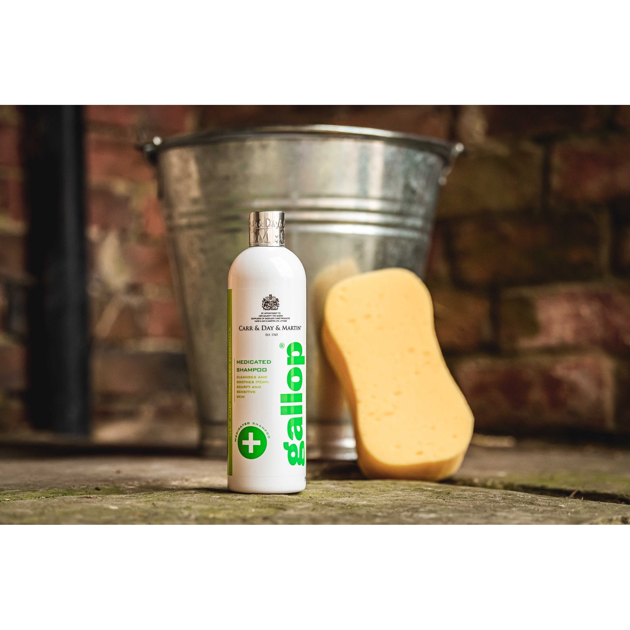 CARR & DAY & MARTIN Antibacterial Shampoo Gallop