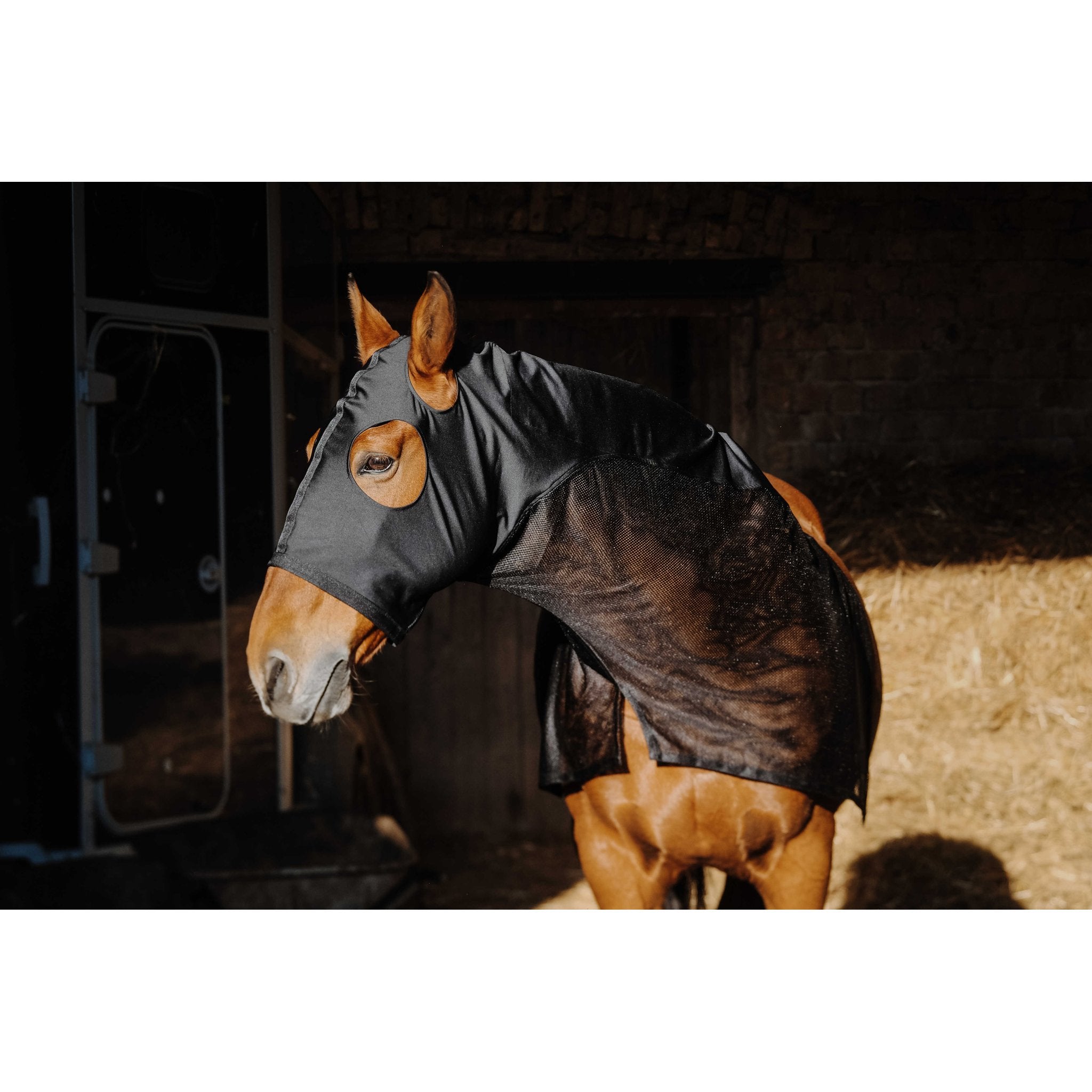 Equithème Lycra/Mesh halsskydd med mask