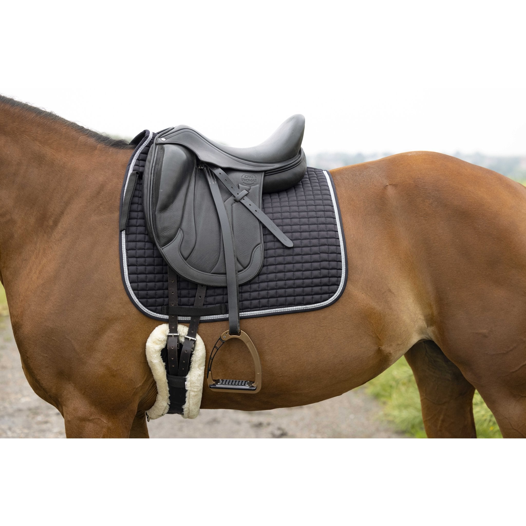 RIDING WORLD Girly Dressyrschabrak