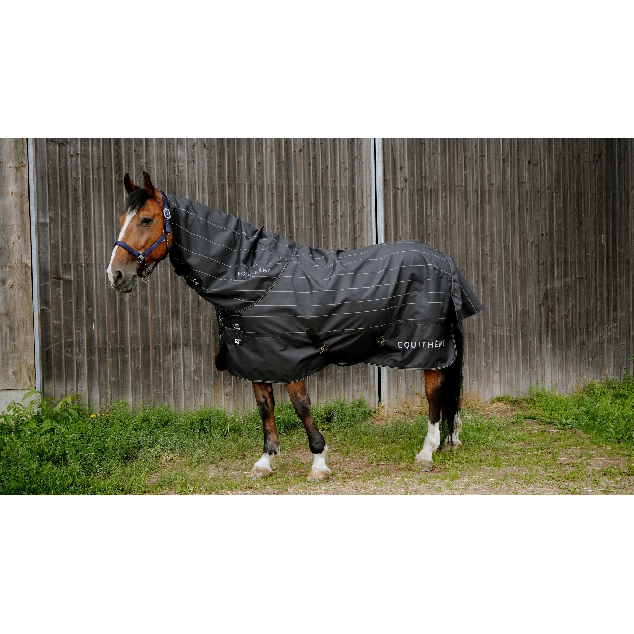 Equitheme TYREX Lumin 600D Halstäcke 0g