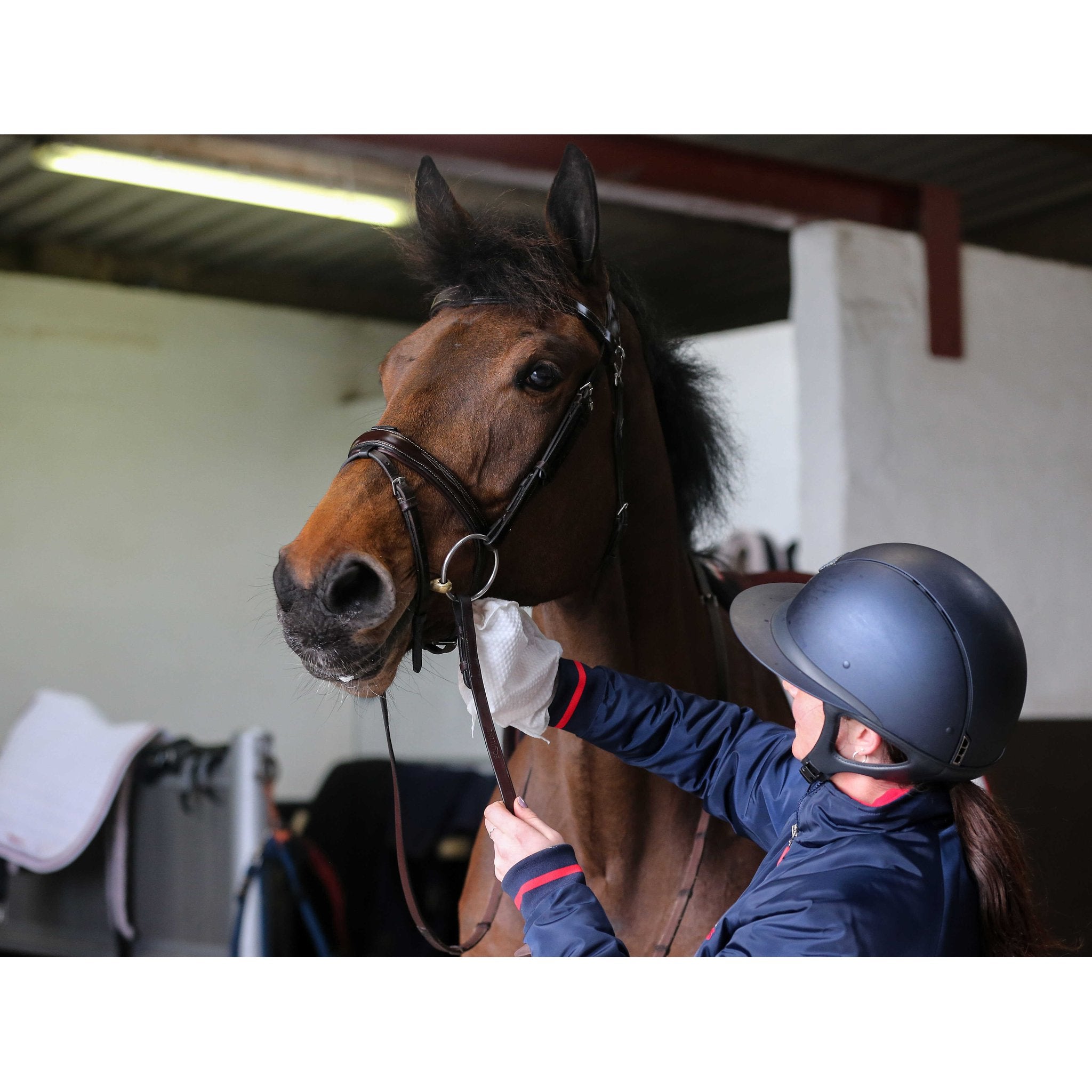 CARR & DAY & MARTIN Belvoir Cleaning Gloves