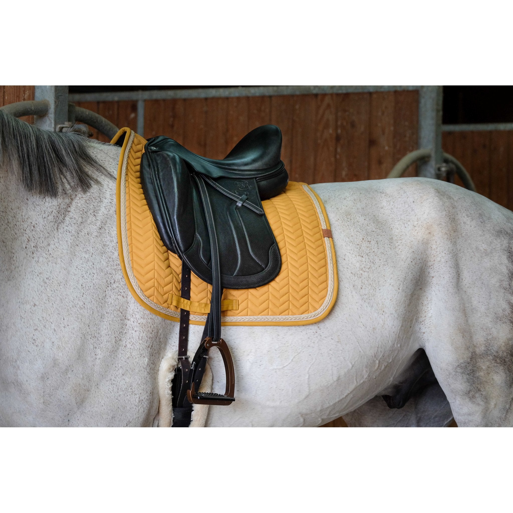 Equithème Softy Schabrak dressyr
