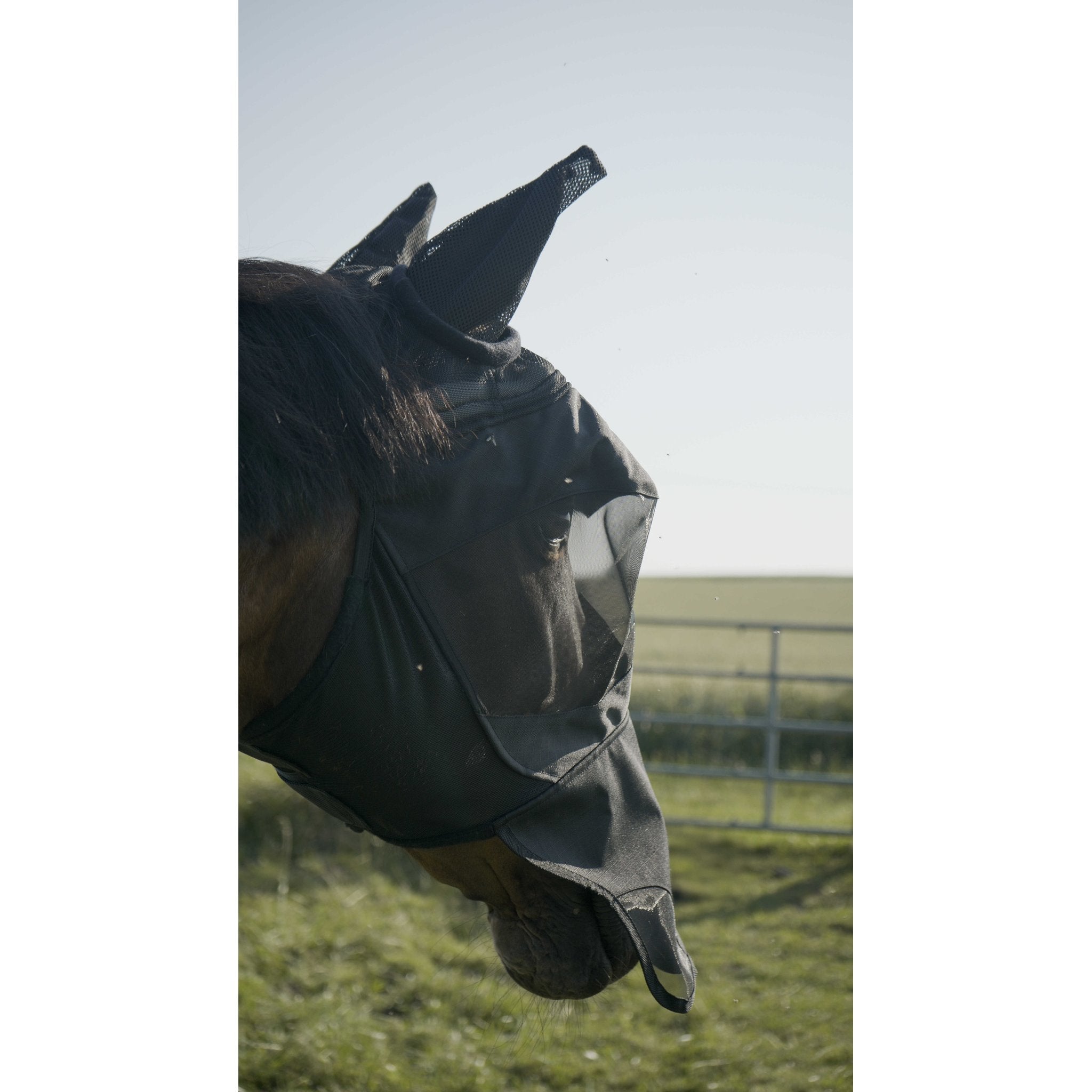 Pro Series Visor flugmask