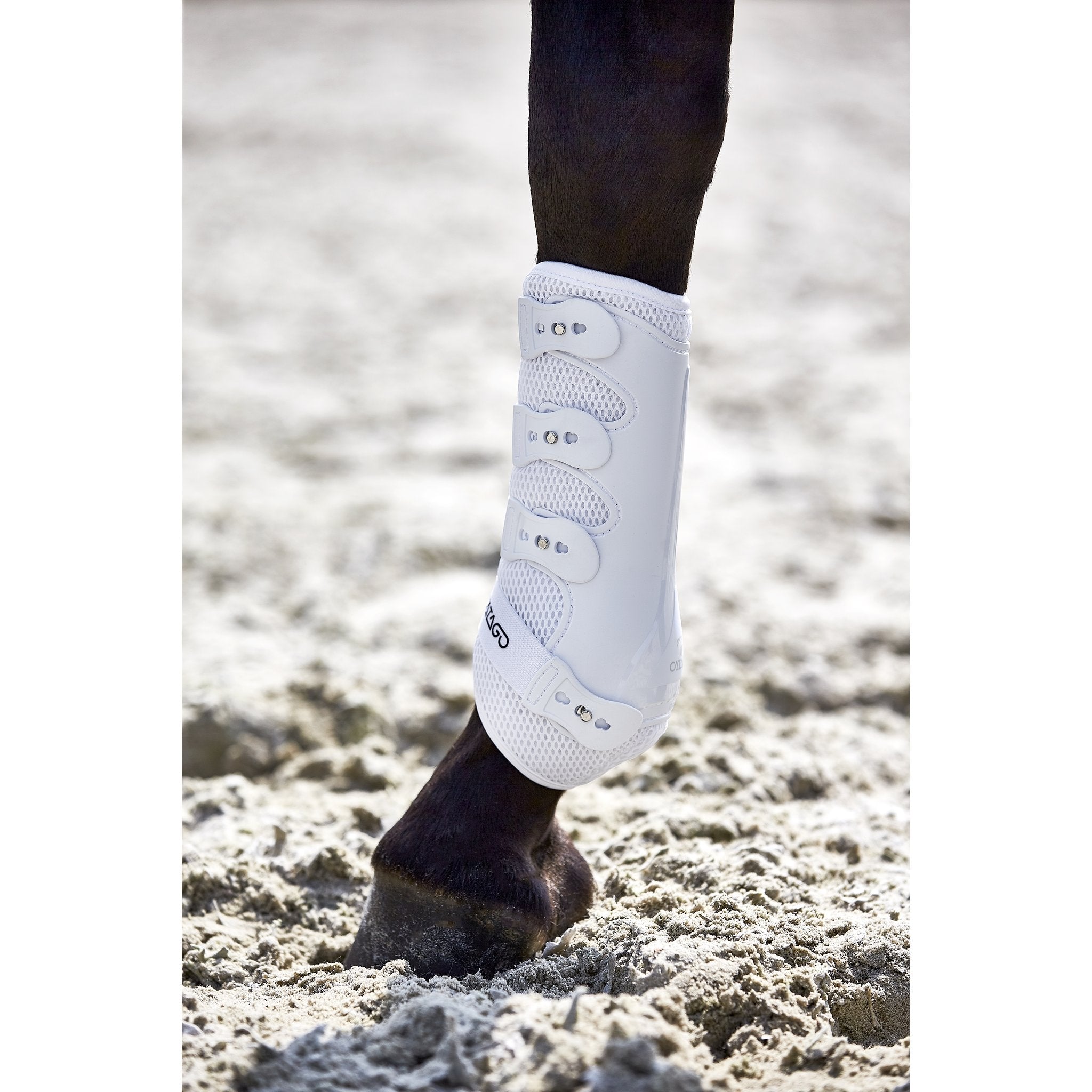 CATAGO FIR-Tech dressyr benskydd