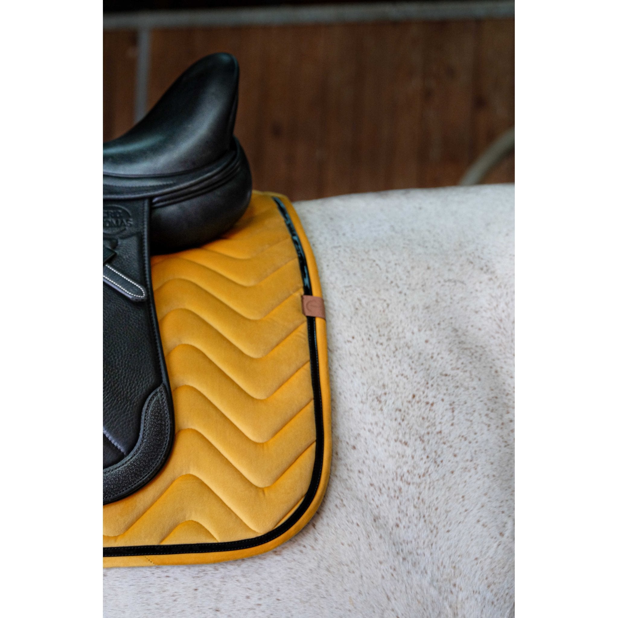 Equithème Glossy Schabrak Dr