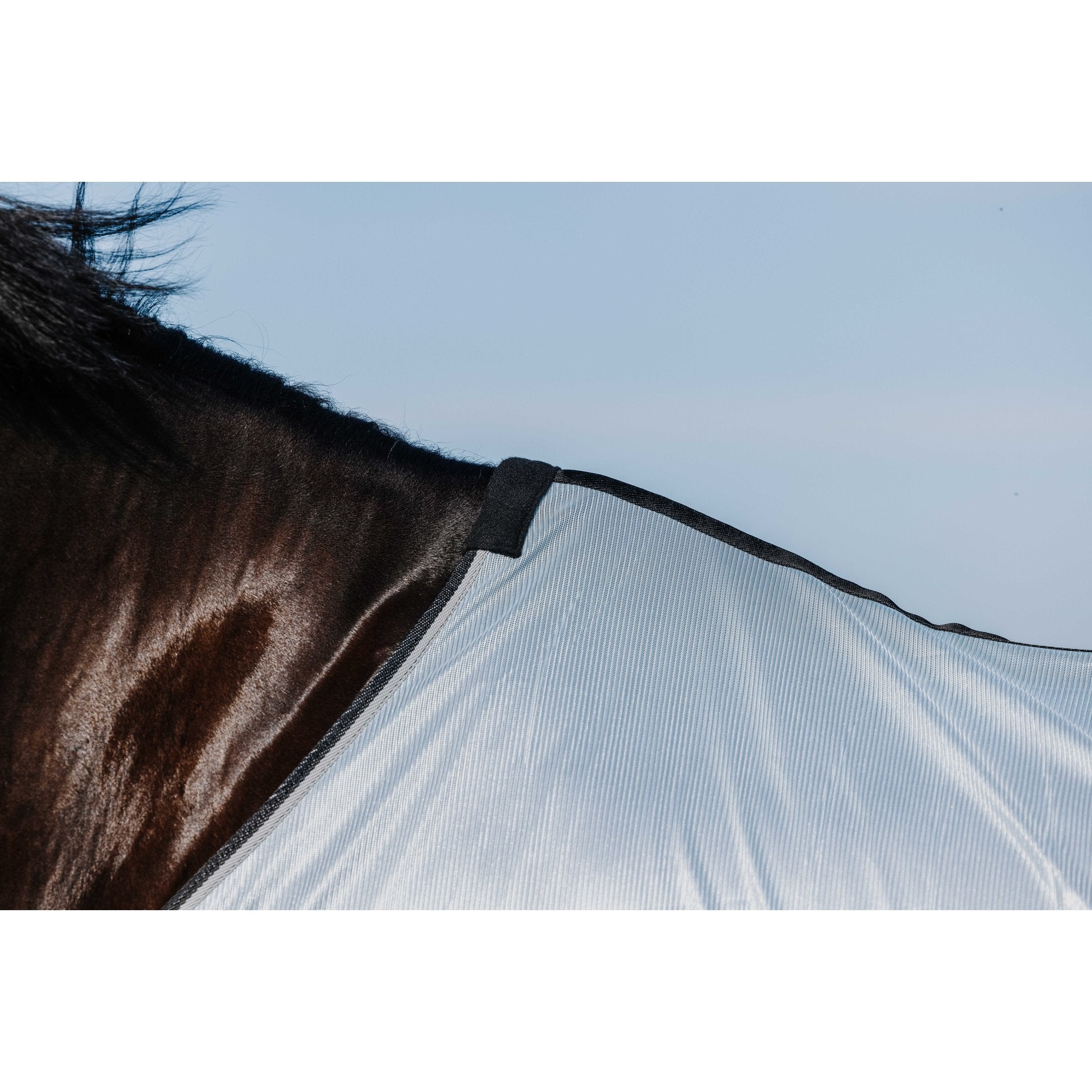 RIDING WORLD Belly Mesh Flugtäcke