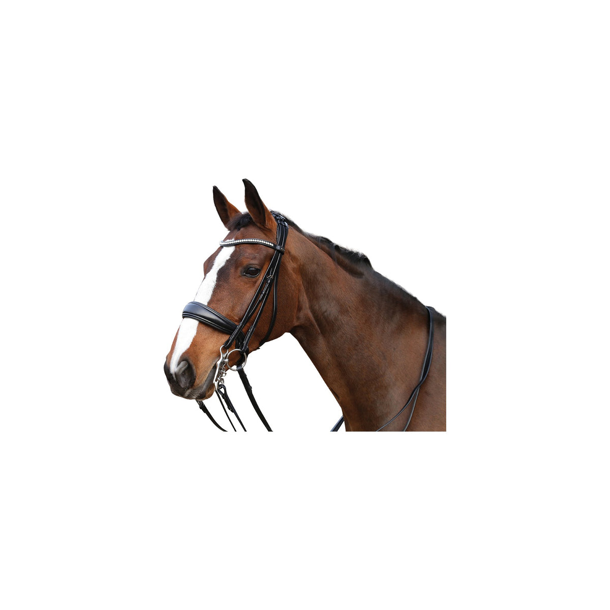 HorseGuard Ergo kandar m/tyglar
