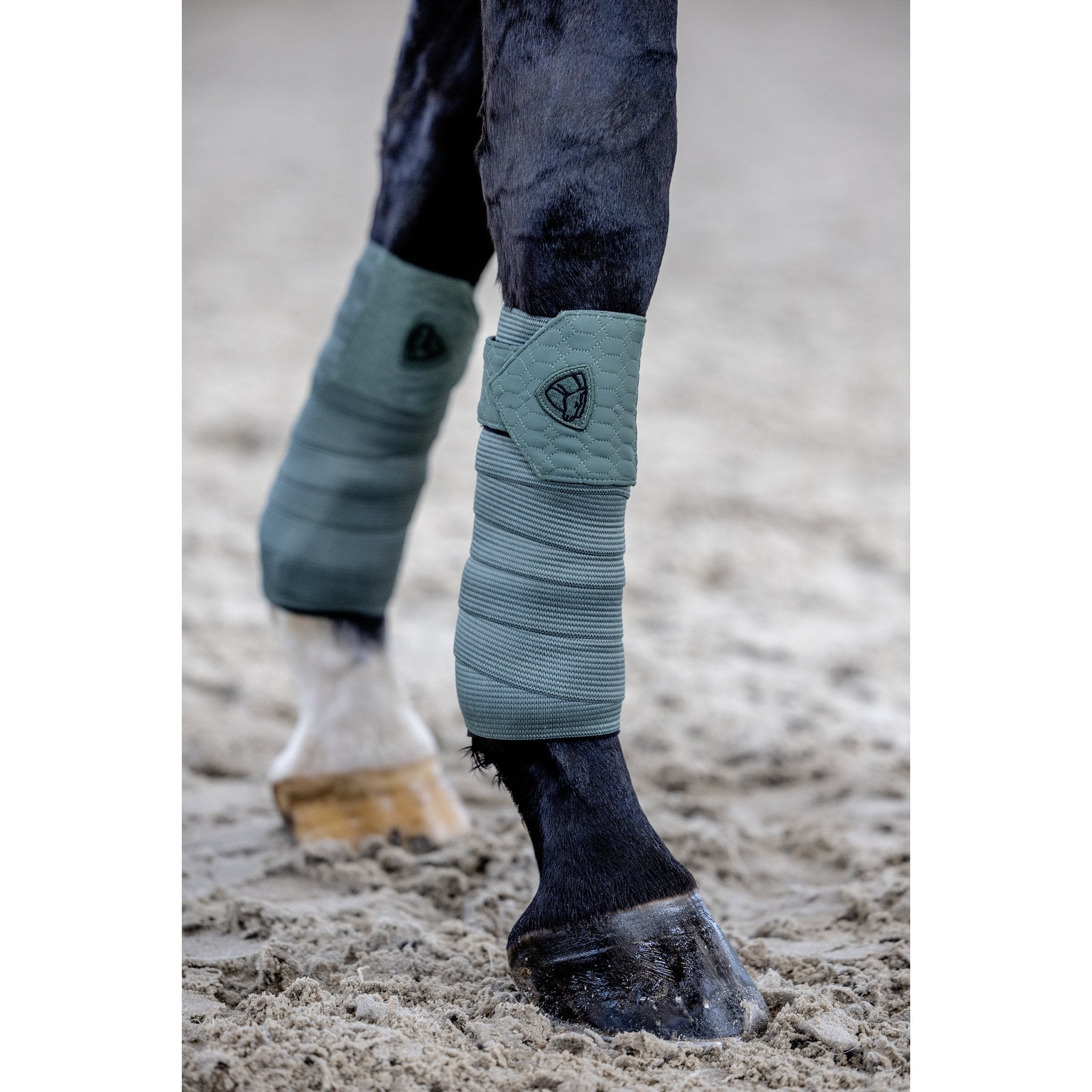 CATAGO FIR-Tech Grand Benlindor