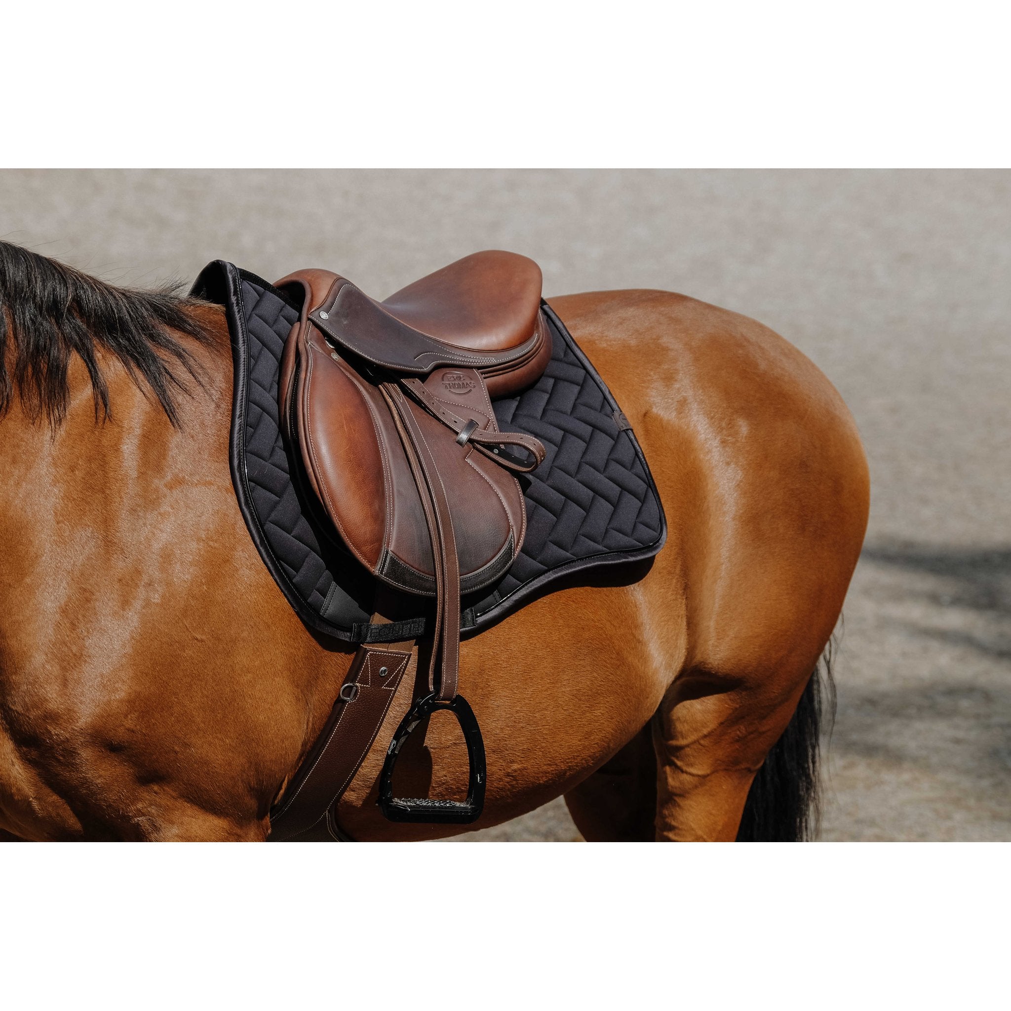 Equithème Impulsion Schabrak