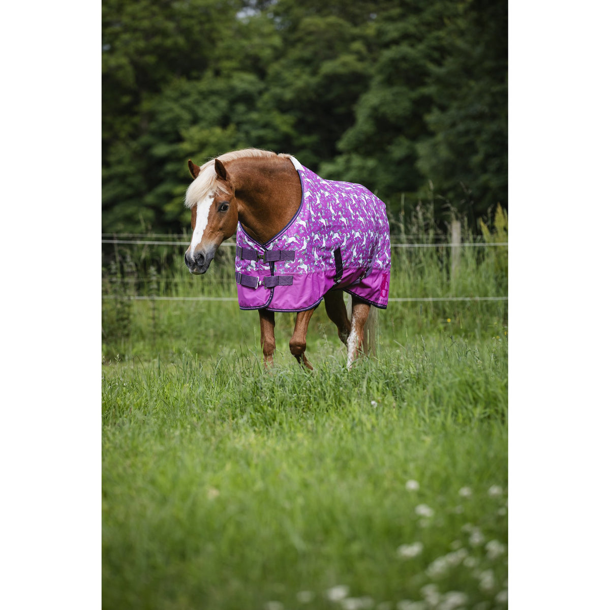 HorseGuard Josh Unicorn Turnout täcke 600D 0g