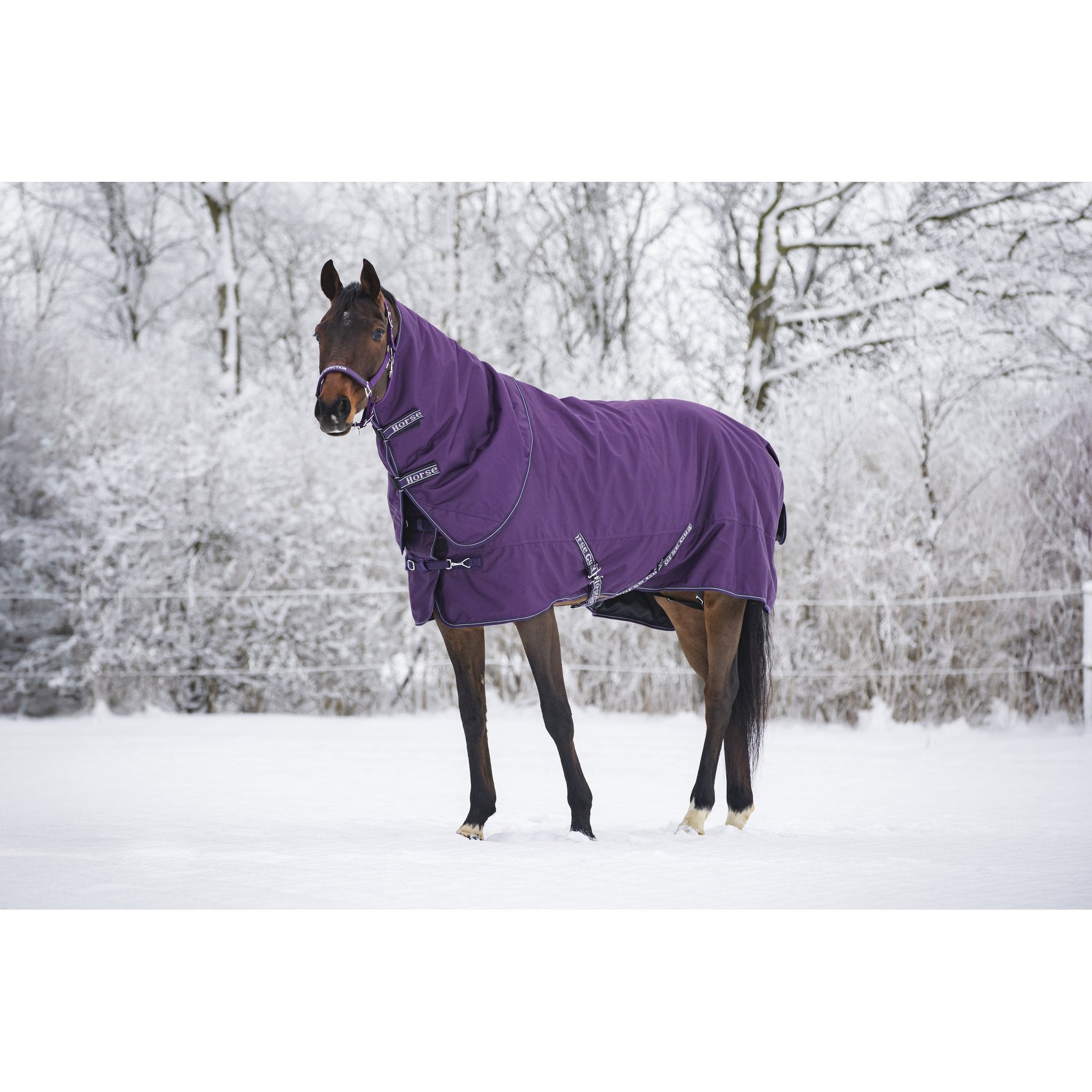 Horse Guard Millan 1200D turnout-täcke avtagbar hals 200g