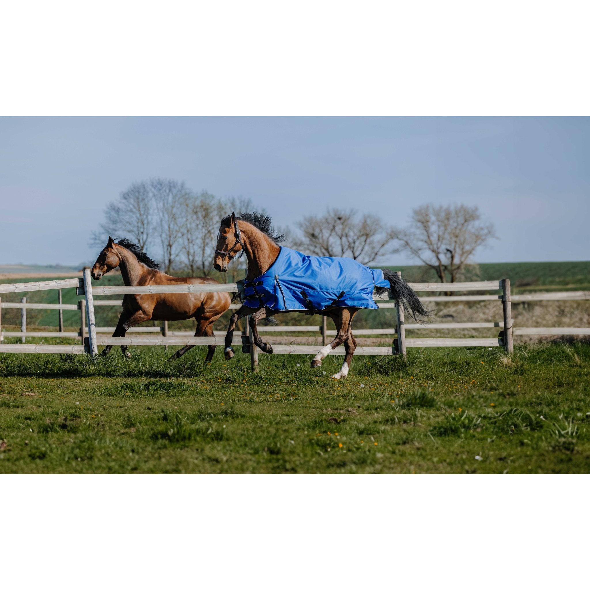 Equithème TYREX Aisance 1200D Turnout täcke 0 g