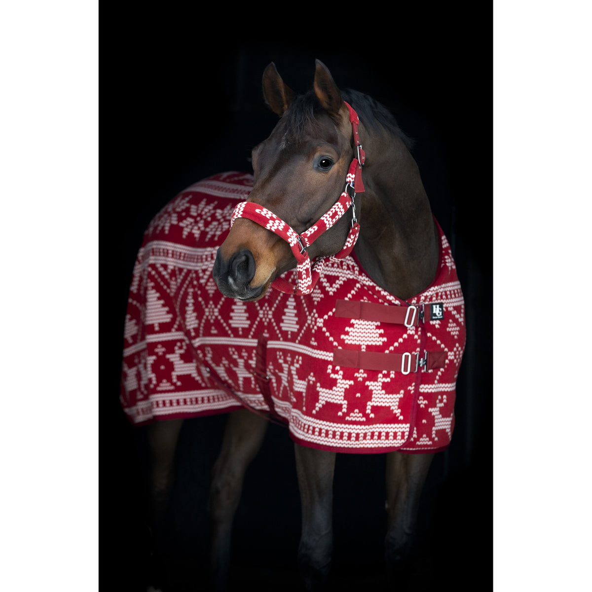 Horse Guard Christmas grimma