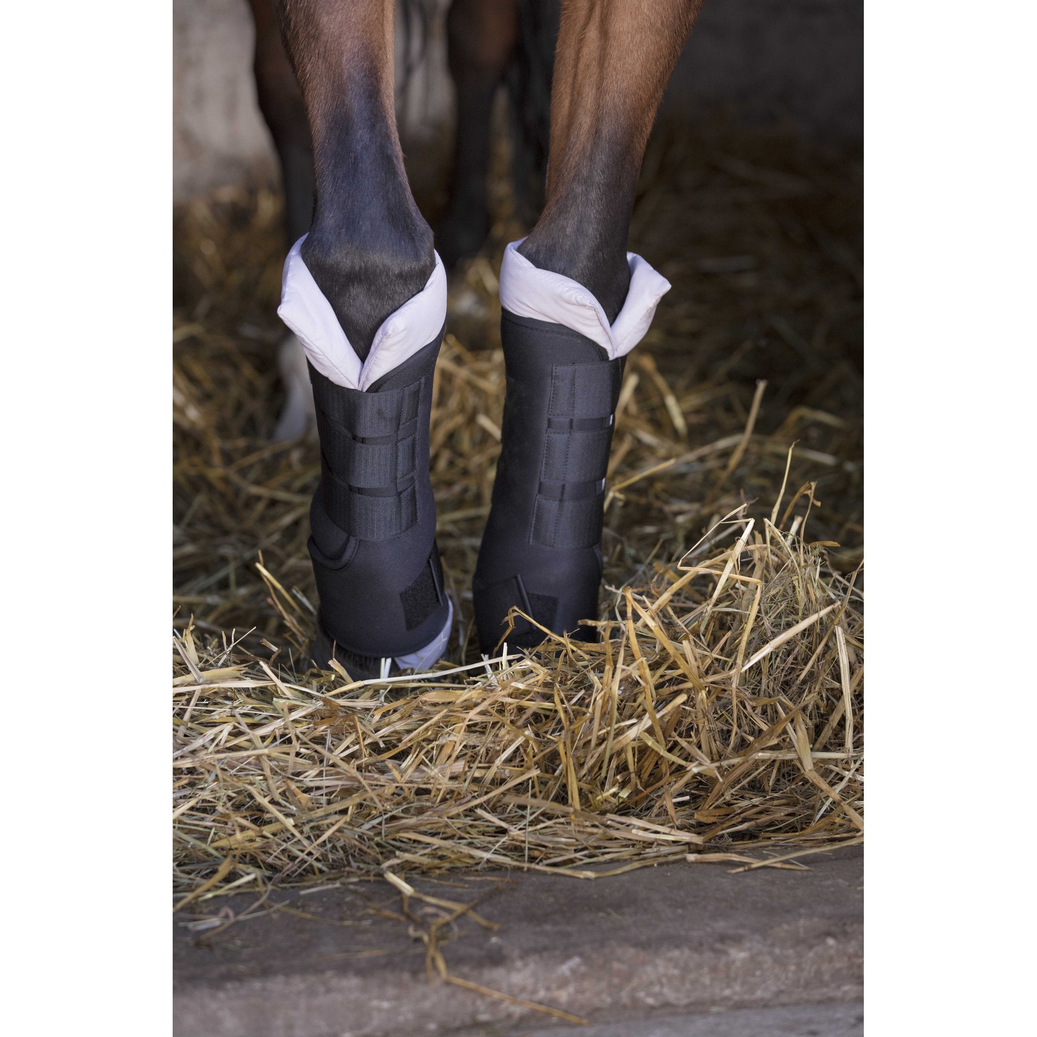 Norton stallbandage set 2 st