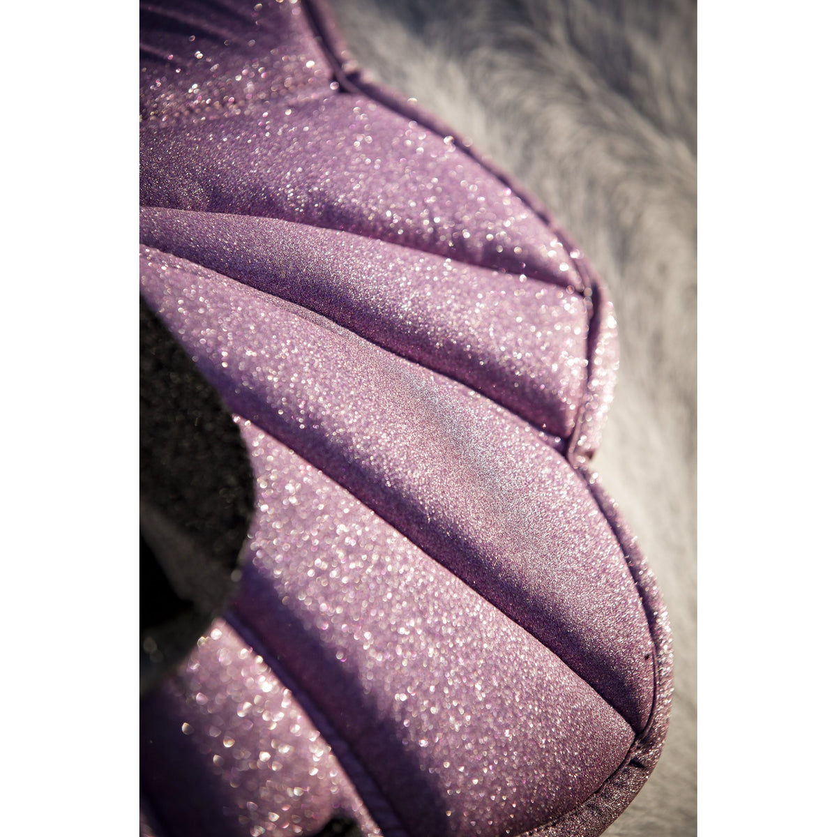 Horse Guard Wing Schabrak