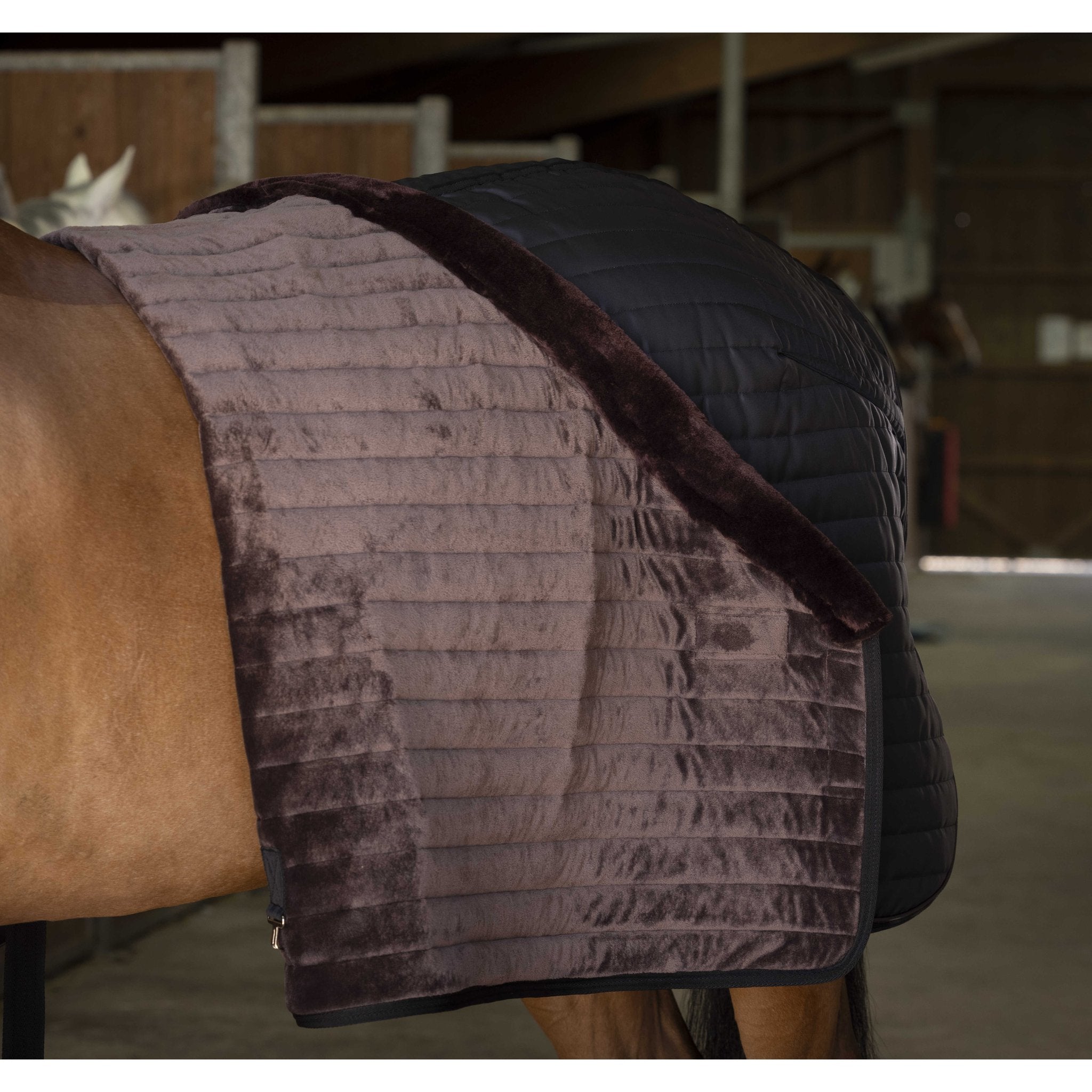 Equithème Stalltäcke med krage 150 g