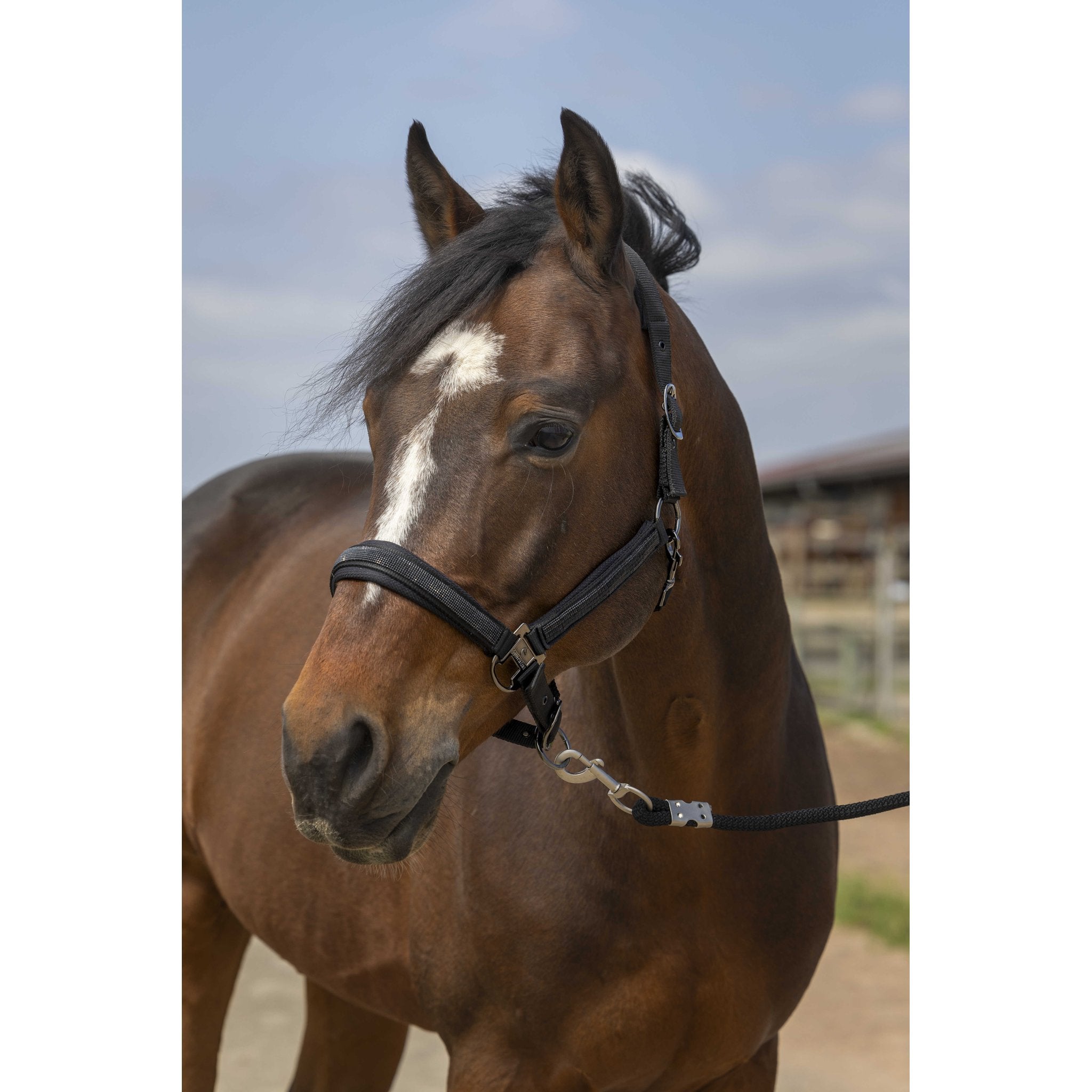 Equithème Nylon Strass Grimma
