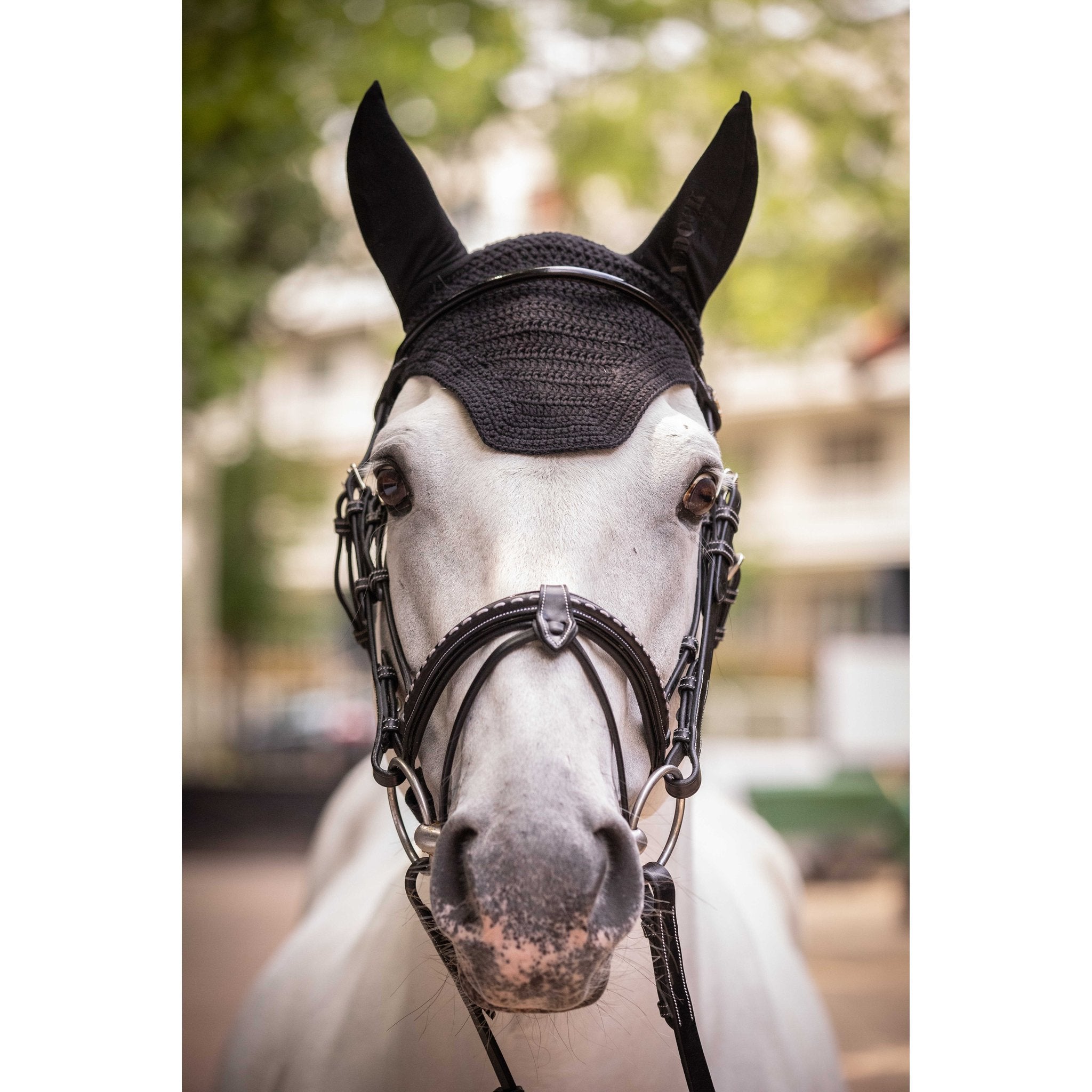 PADDOCK Pro coton luva