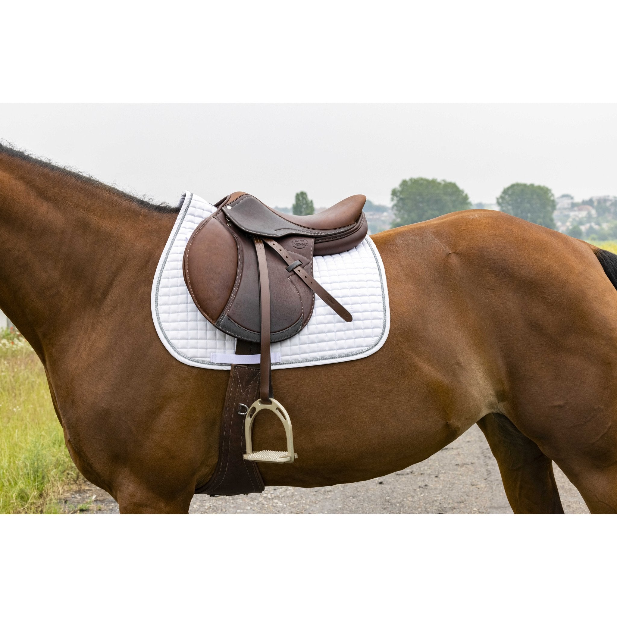 RIDING WORLD Girly Hoppschabrak