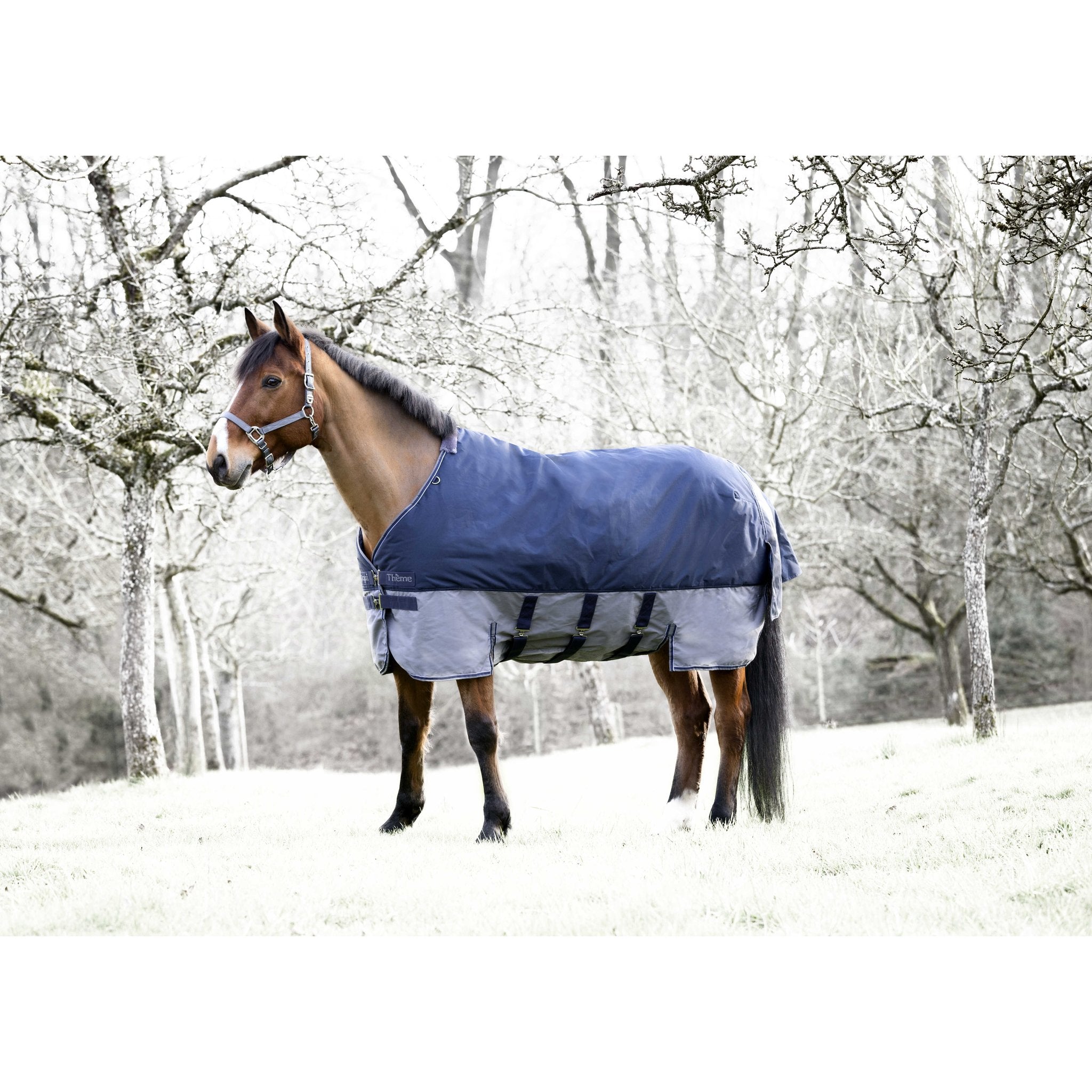 Equithème TYREX 600D Turnout täcke med magskydd 300 g