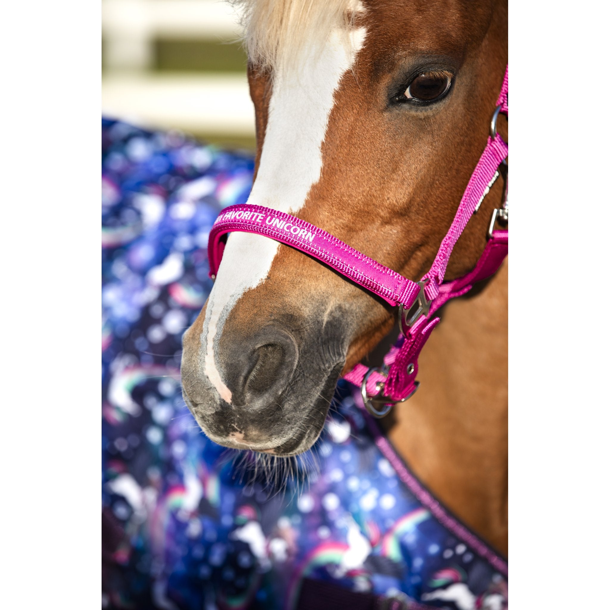 HorseGuard Malva grimma